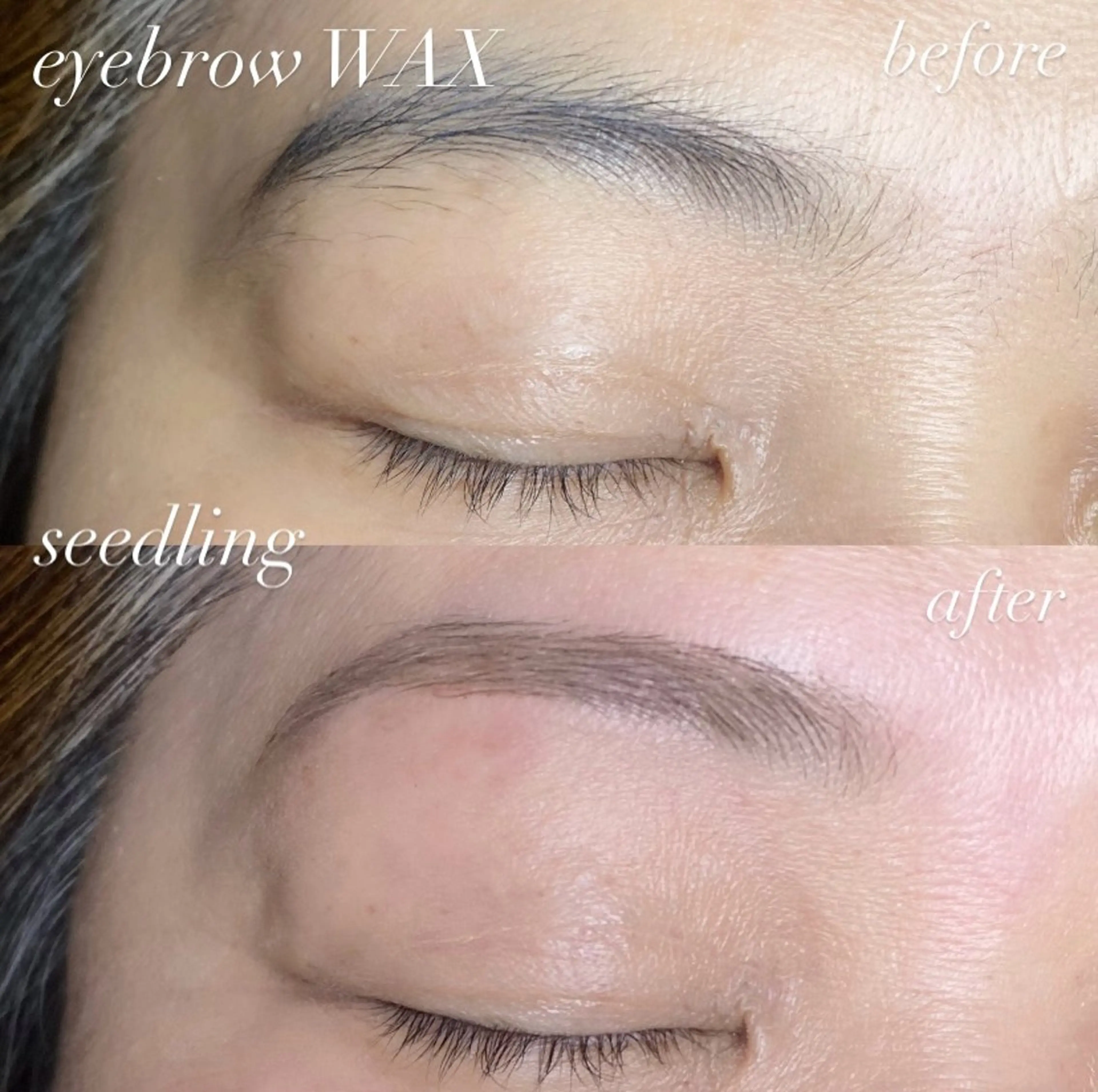 アイブロウ シードリン 府内店 杉田のマツエク・マツパデザイン