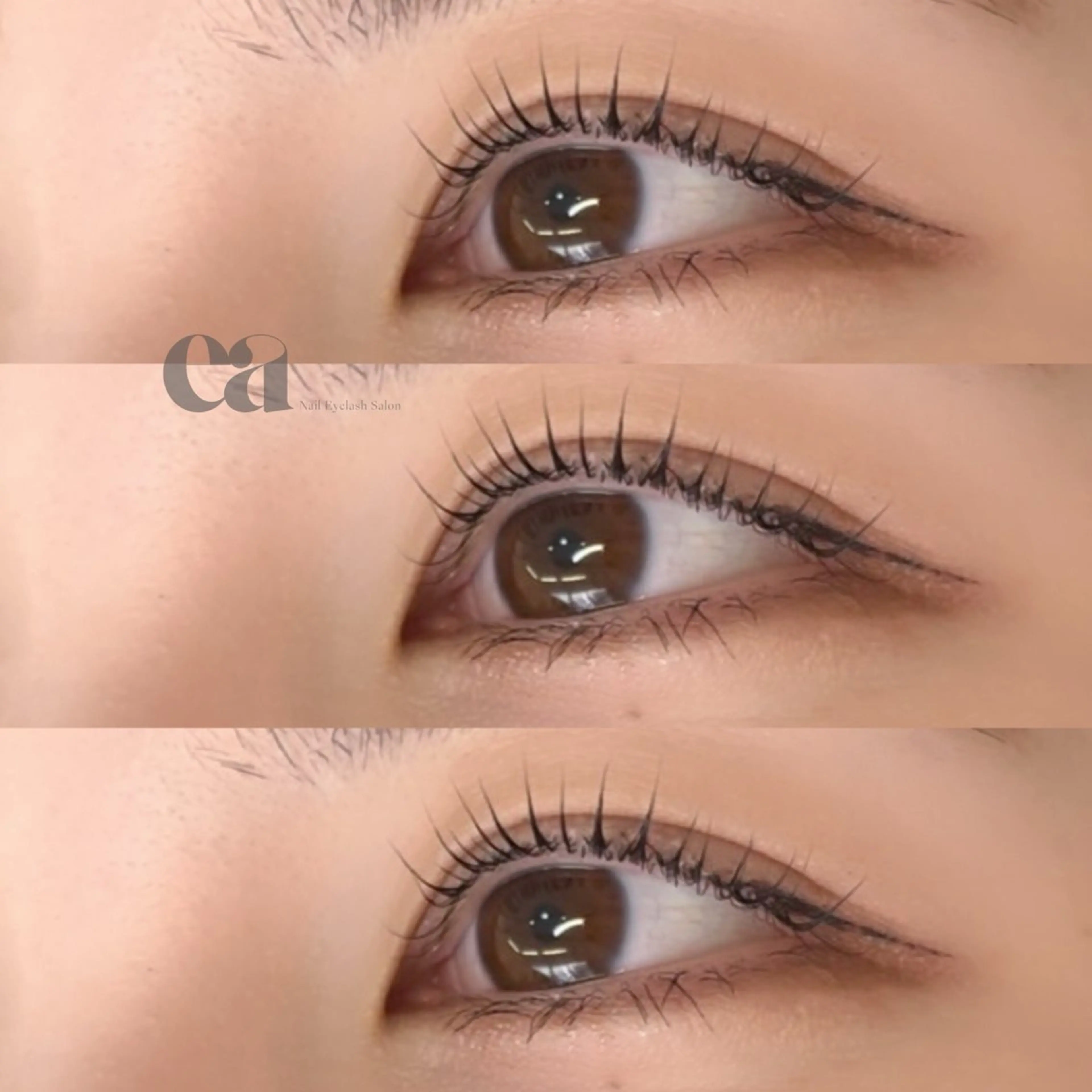 【韓国束感】🦋✨パリジェンヌラッシュリフト or まつ毛パーマの写真