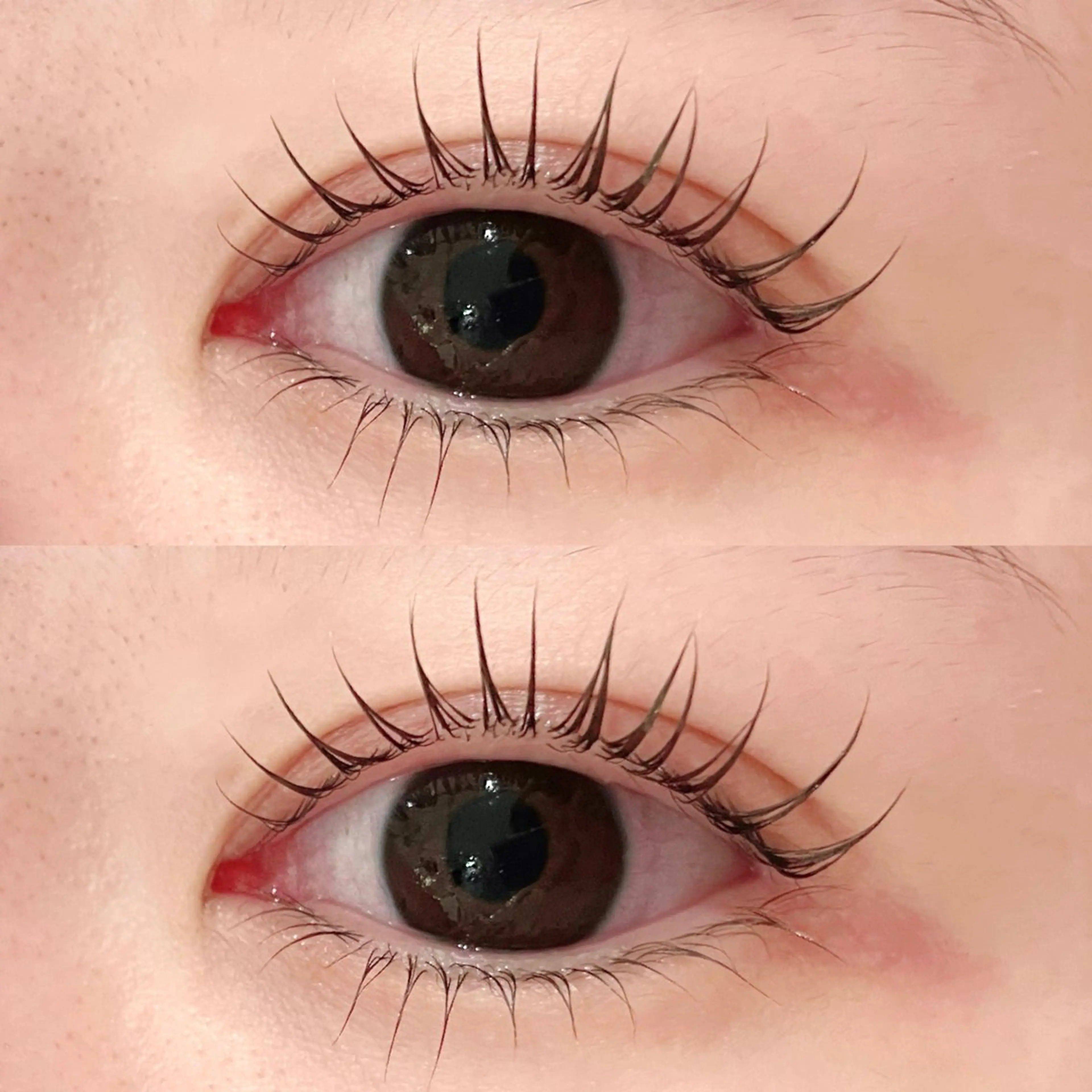 minimo限定🍑 上下まつ毛パーマ/パリジェンヌ変更🆗アイシャンプー付🧼の写真