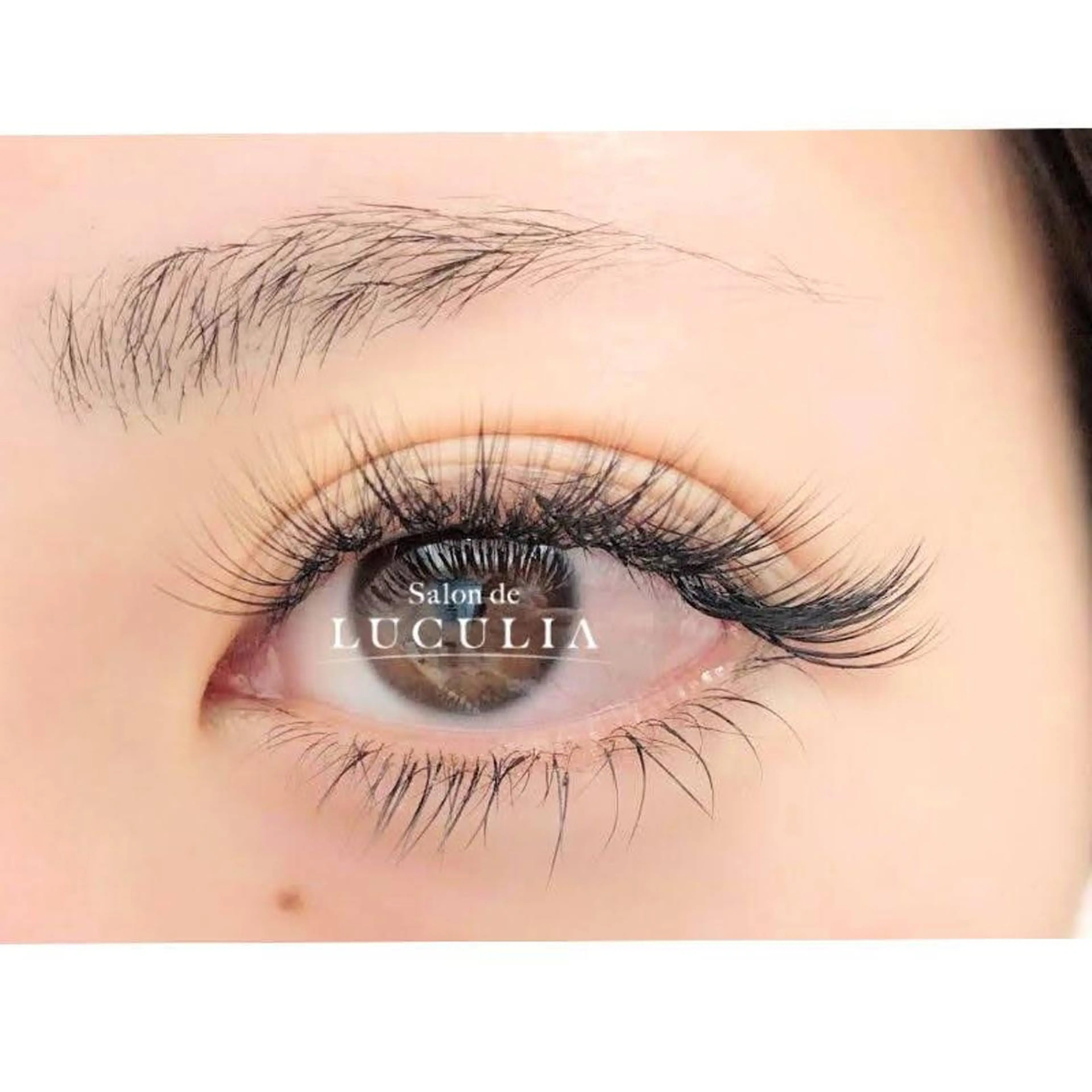 ボリュームラッシュ300本 美容液配合コーティング付通常￥9,800円→￥7,500円の写真