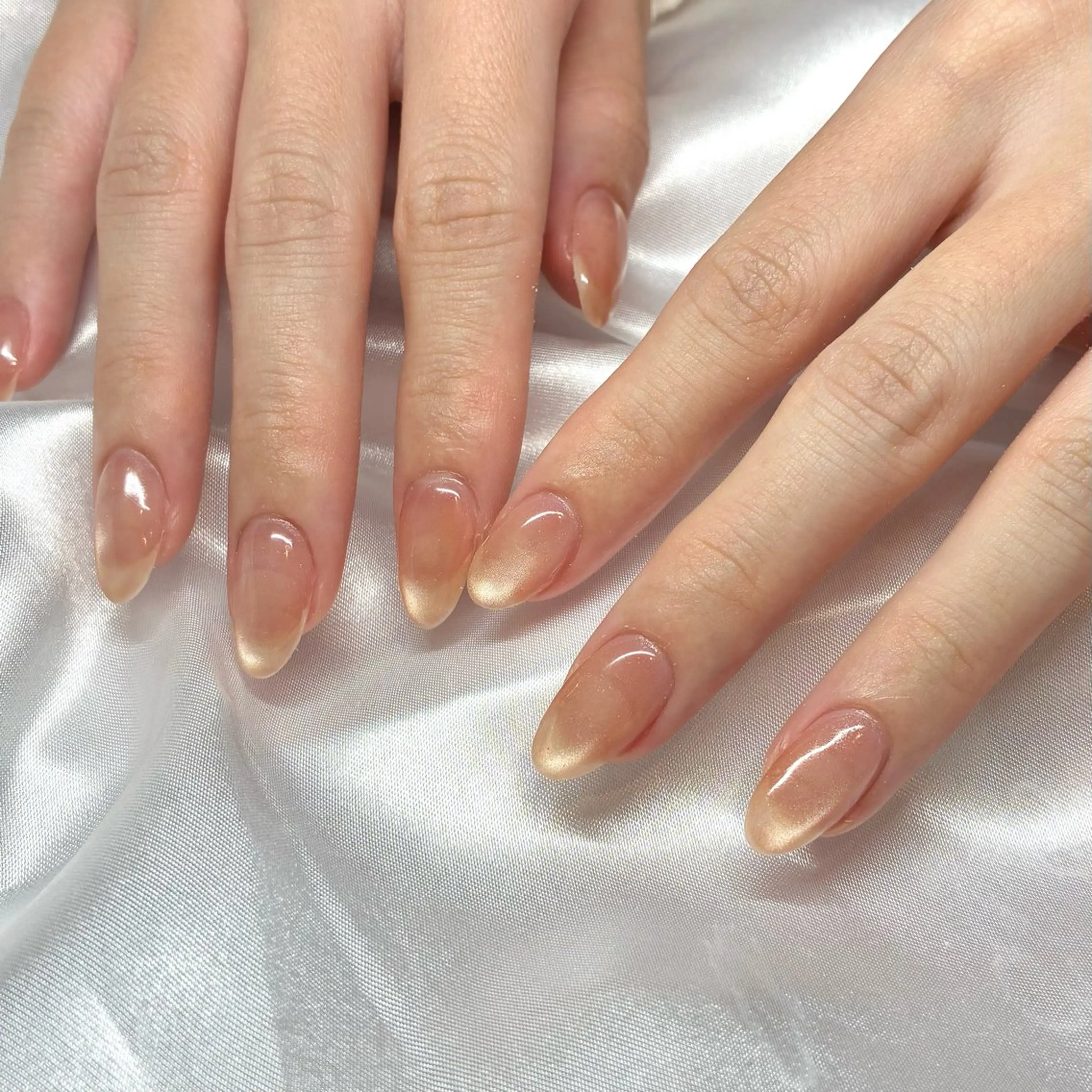 ネイル ジェルネイル マグネットネイル ハンドネイル Nail ヌシん家 AKANEのネイルデザイン
