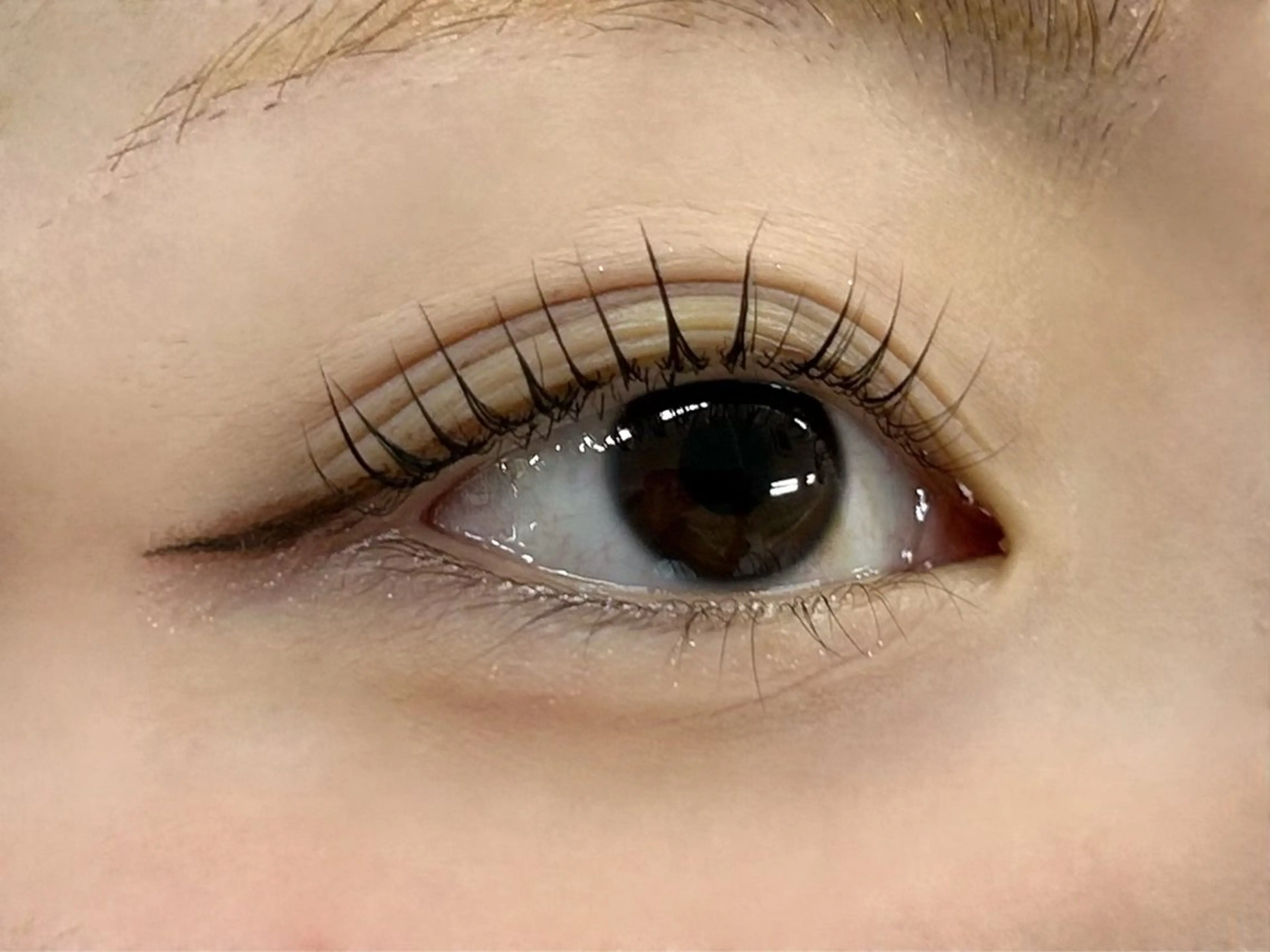 マツエク・マツパ seran EYELAのマツエク・マツパデザイン