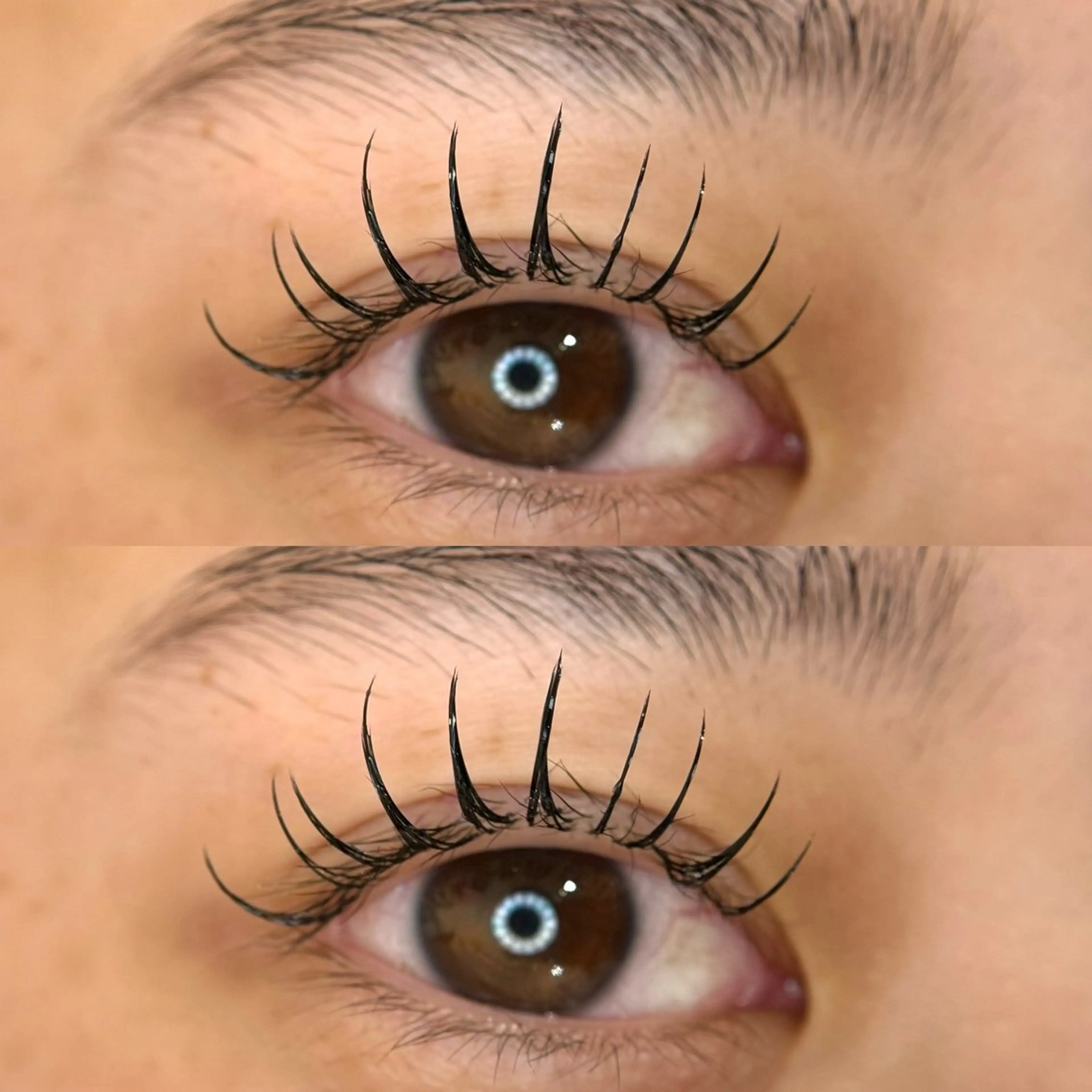 マツエク・マツパ キュート フラットラッシュ M🐰 上本町/谷九のマツエク・マツパデザイン