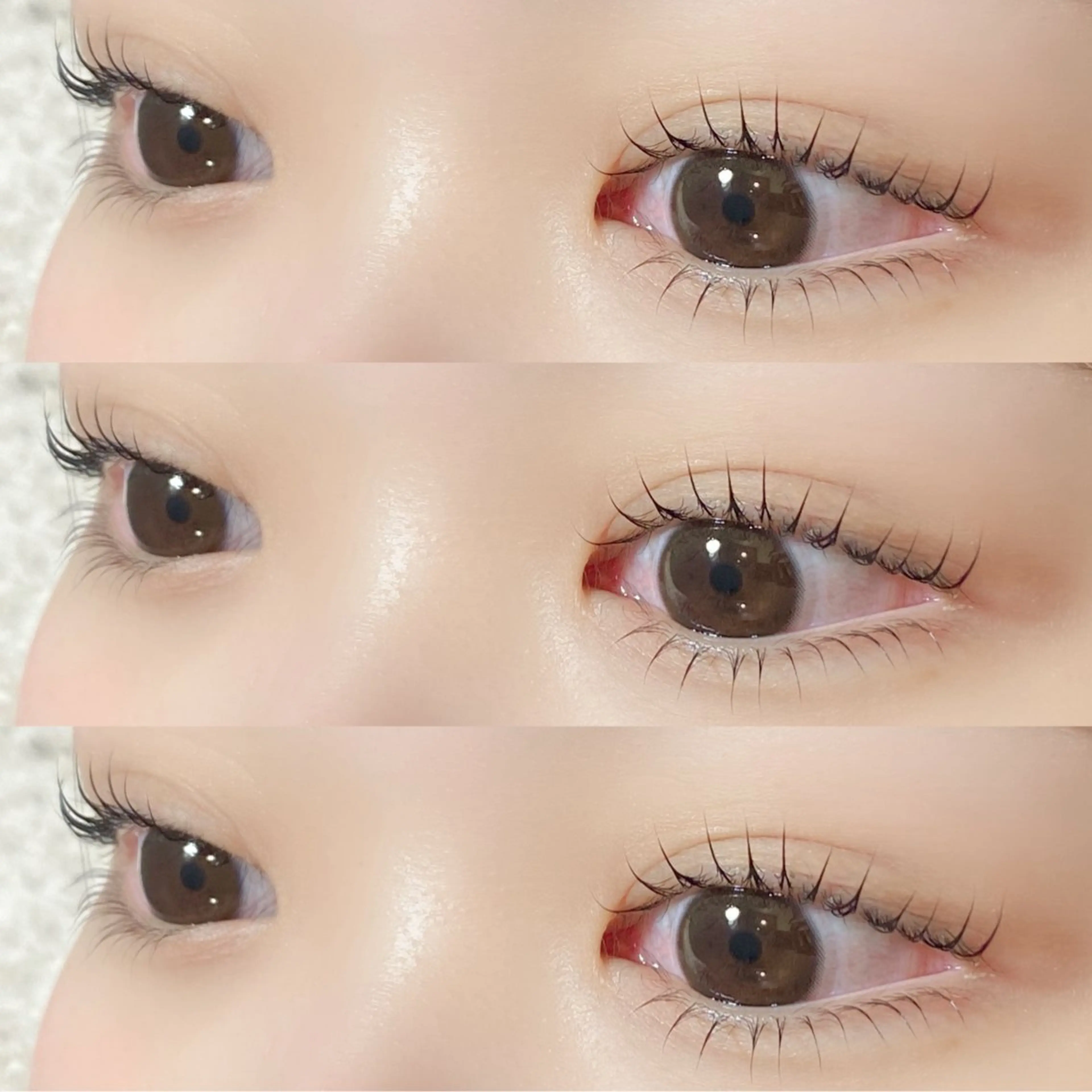 マツエク・マツパ 🐶Pupu lash🐶のマツエク・マツパデザイン