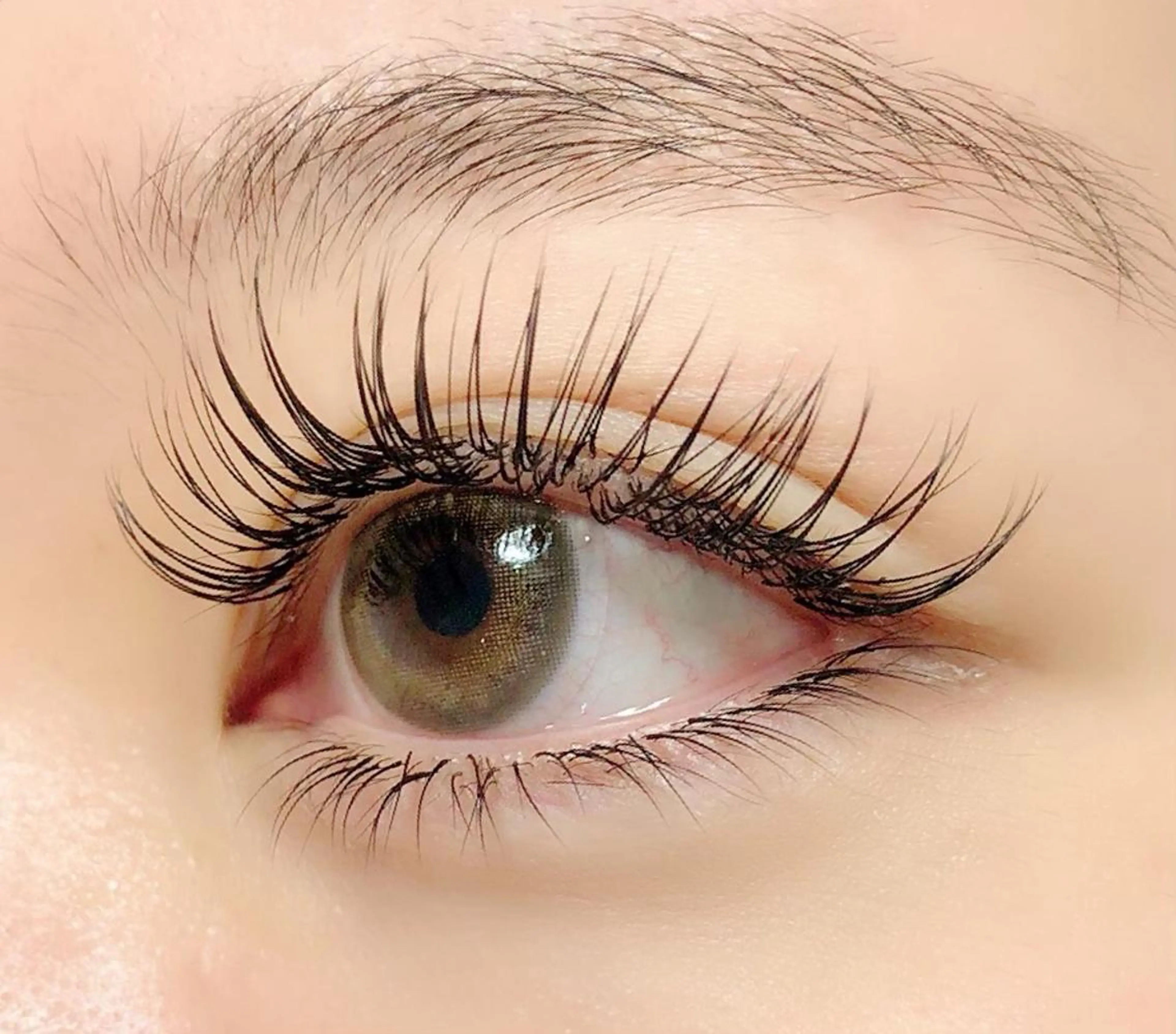 (オフ込み)フラットラッシュ🕊️上下付け放題の写真