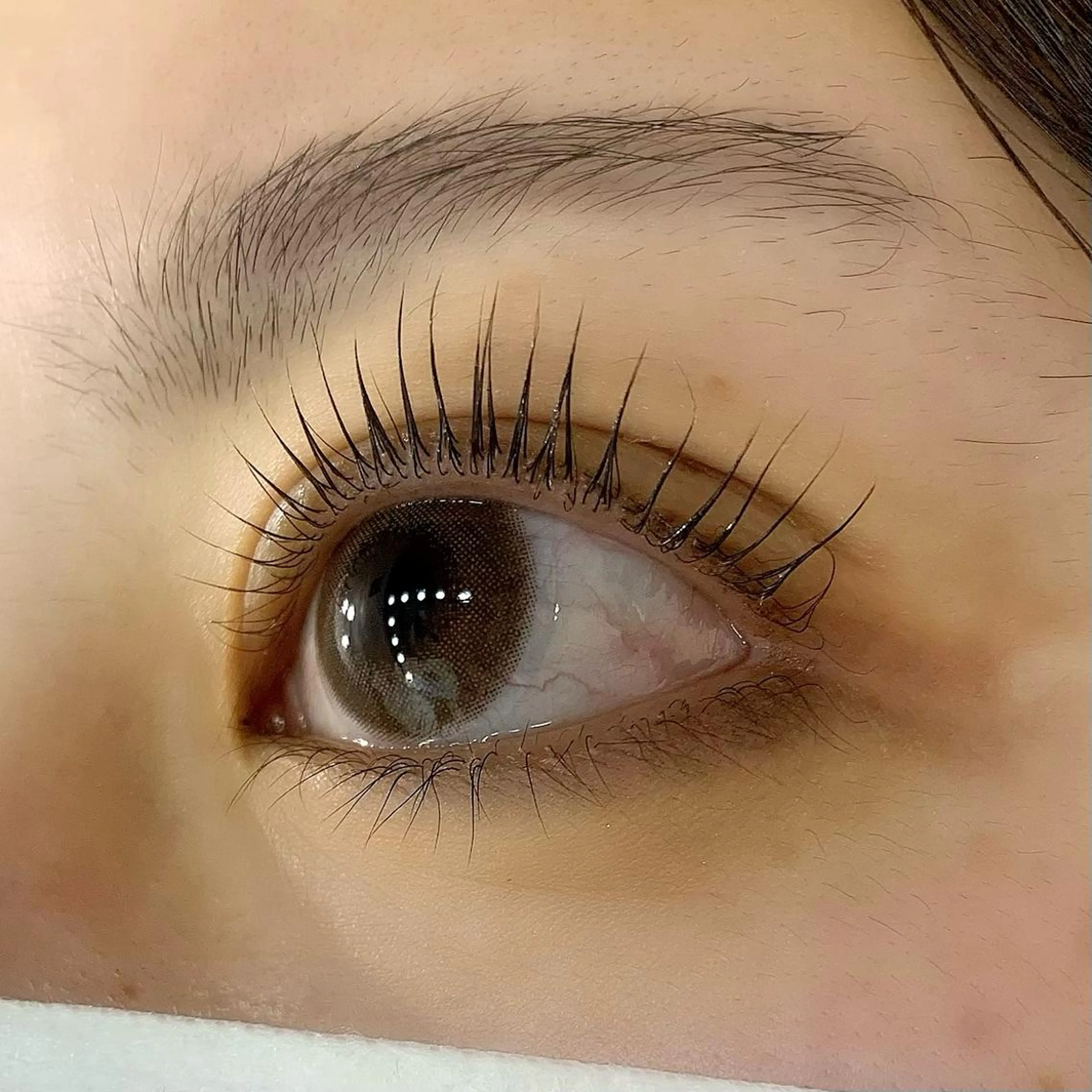 マツエク・マツパ パリジェンヌラッシュリフト Celeste Venus所属・🧸Celeste Venusのマツエク・マツパデザイン