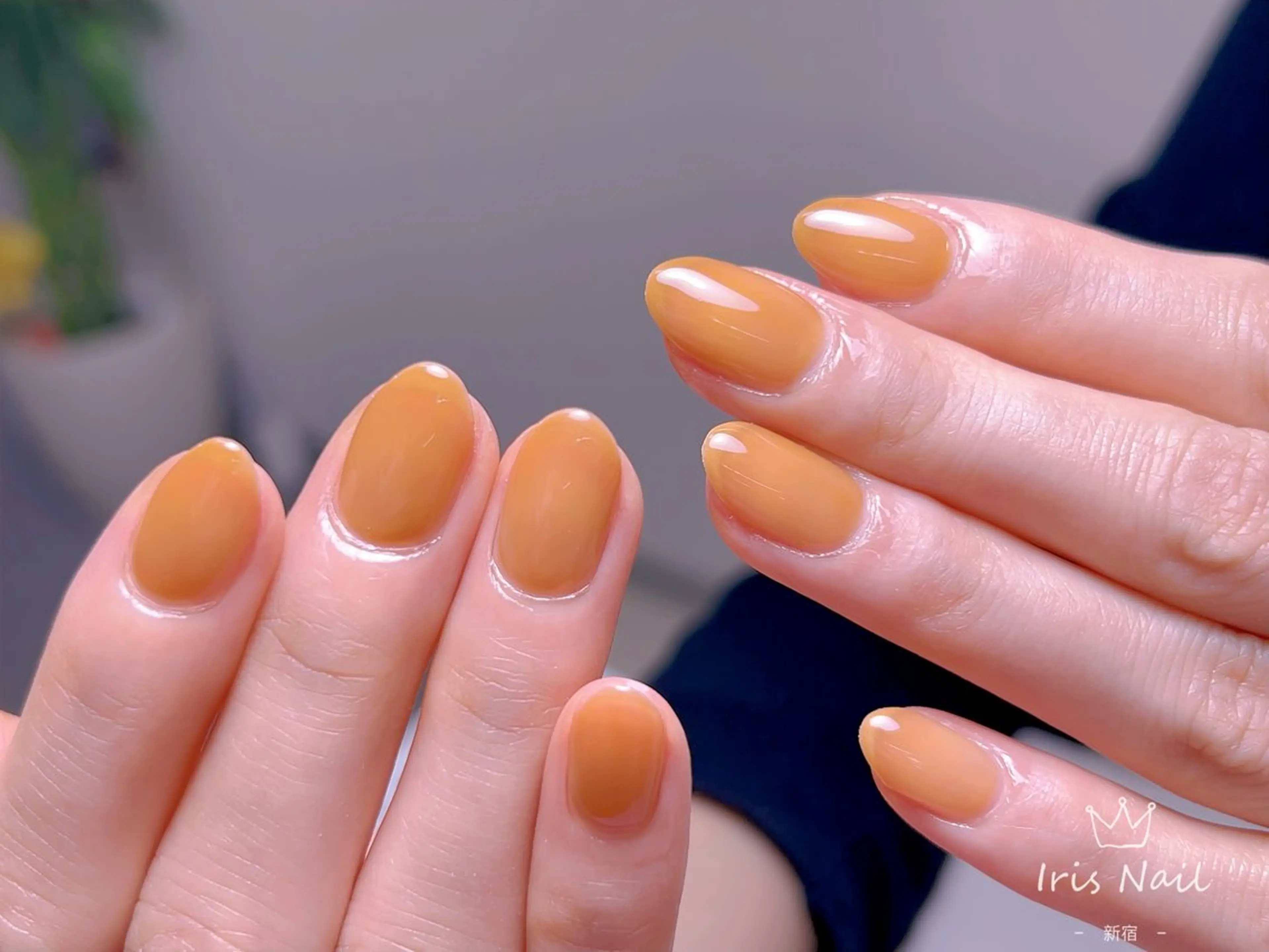 ネイル フレンチネイル ジェルネイル グラデーション 韓国ネイル マグネットネイル 【長さ出し】 IRIS NAILのネイルデザイン