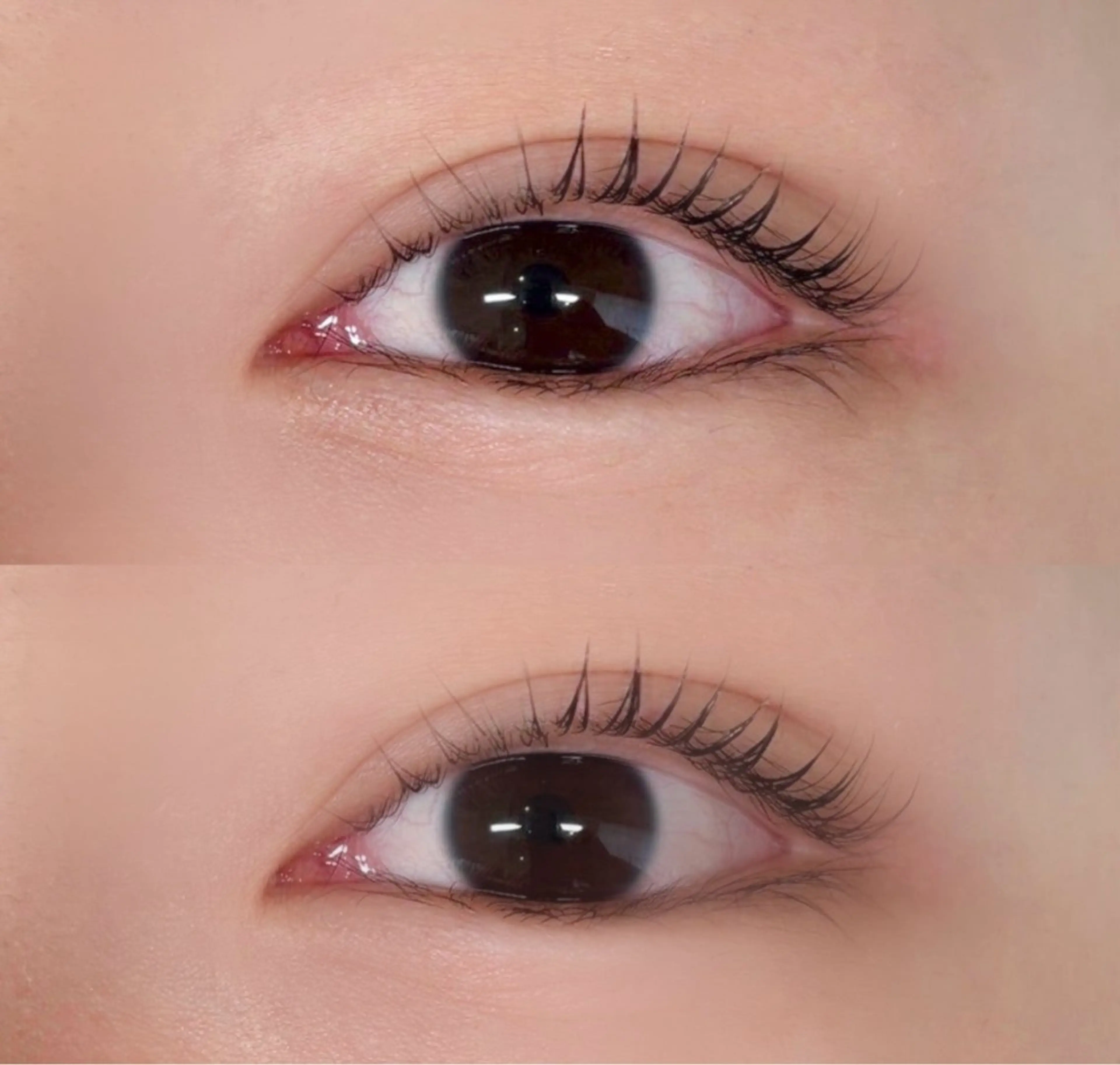 マツエク・マツパ マツパ Maria pinklagoonのマツエク・マツパデザイン