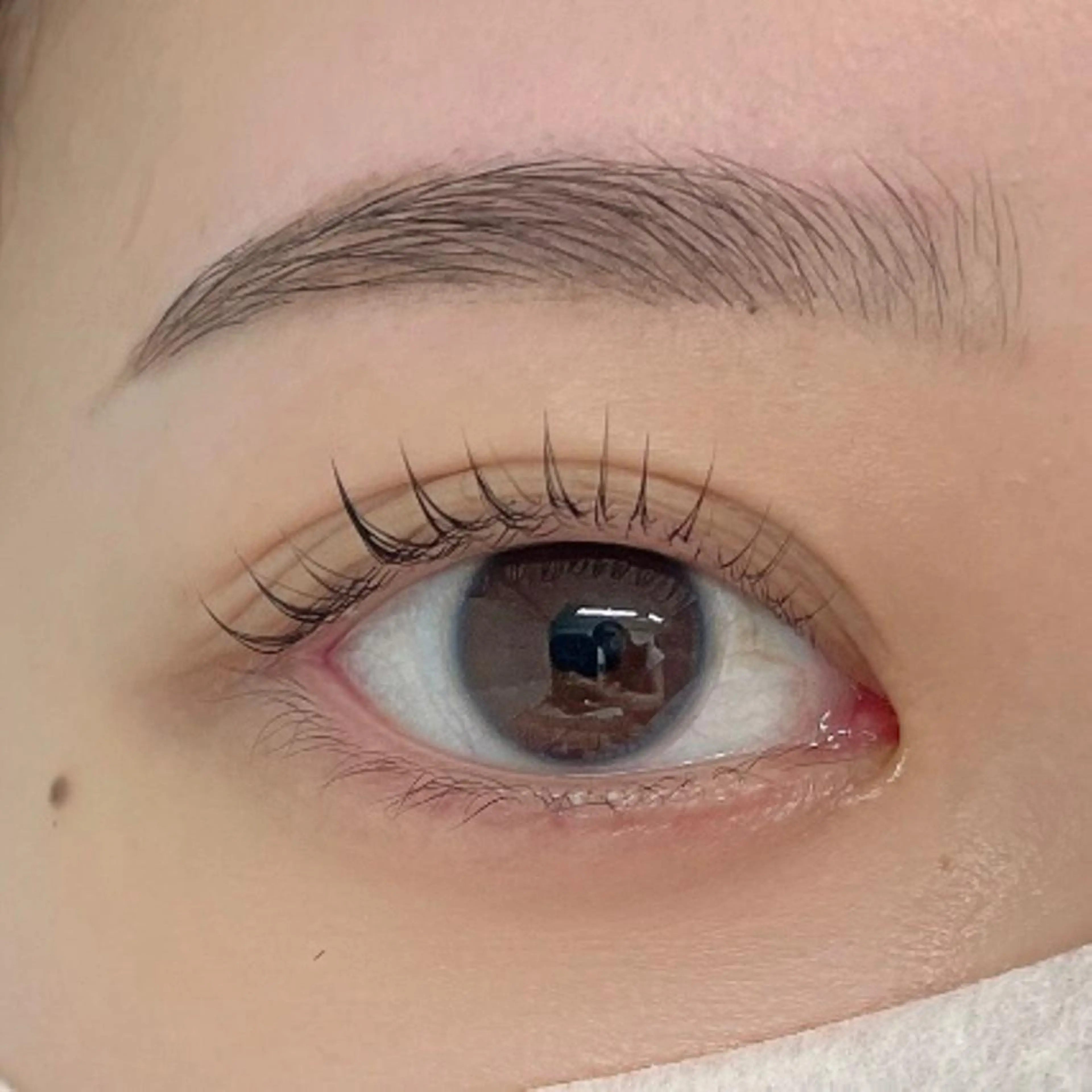 【ＨＢＬ】ハリウッドブロウリフトの写真