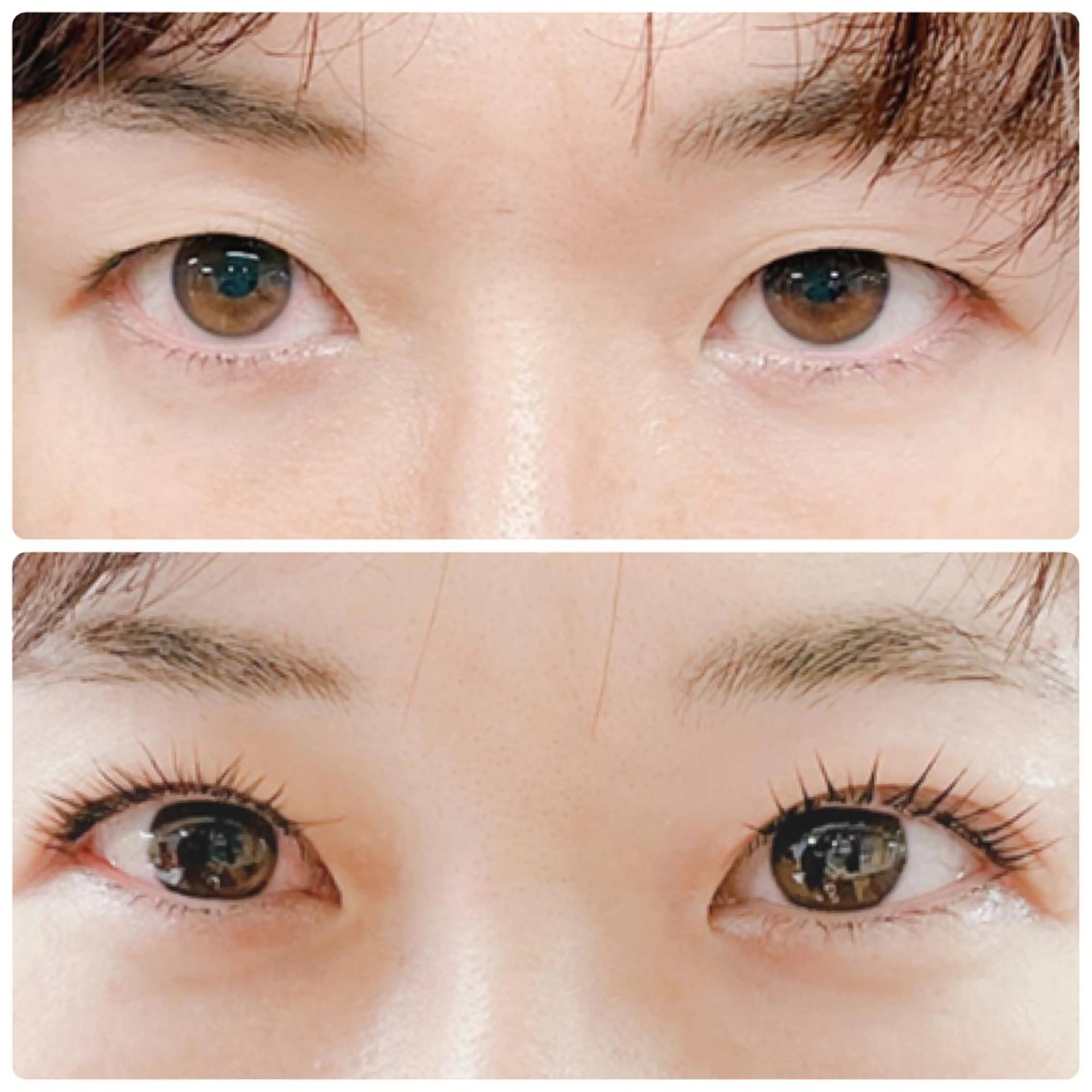 マツエク・マツパ アイリッドアップパーマ マツエク&まつ毛カールサロン　バタフライ・ラッシュ所属・下がりまつ毛たるみ 専門サロン妙蓮寺駅のマツエク・マツパデザイン