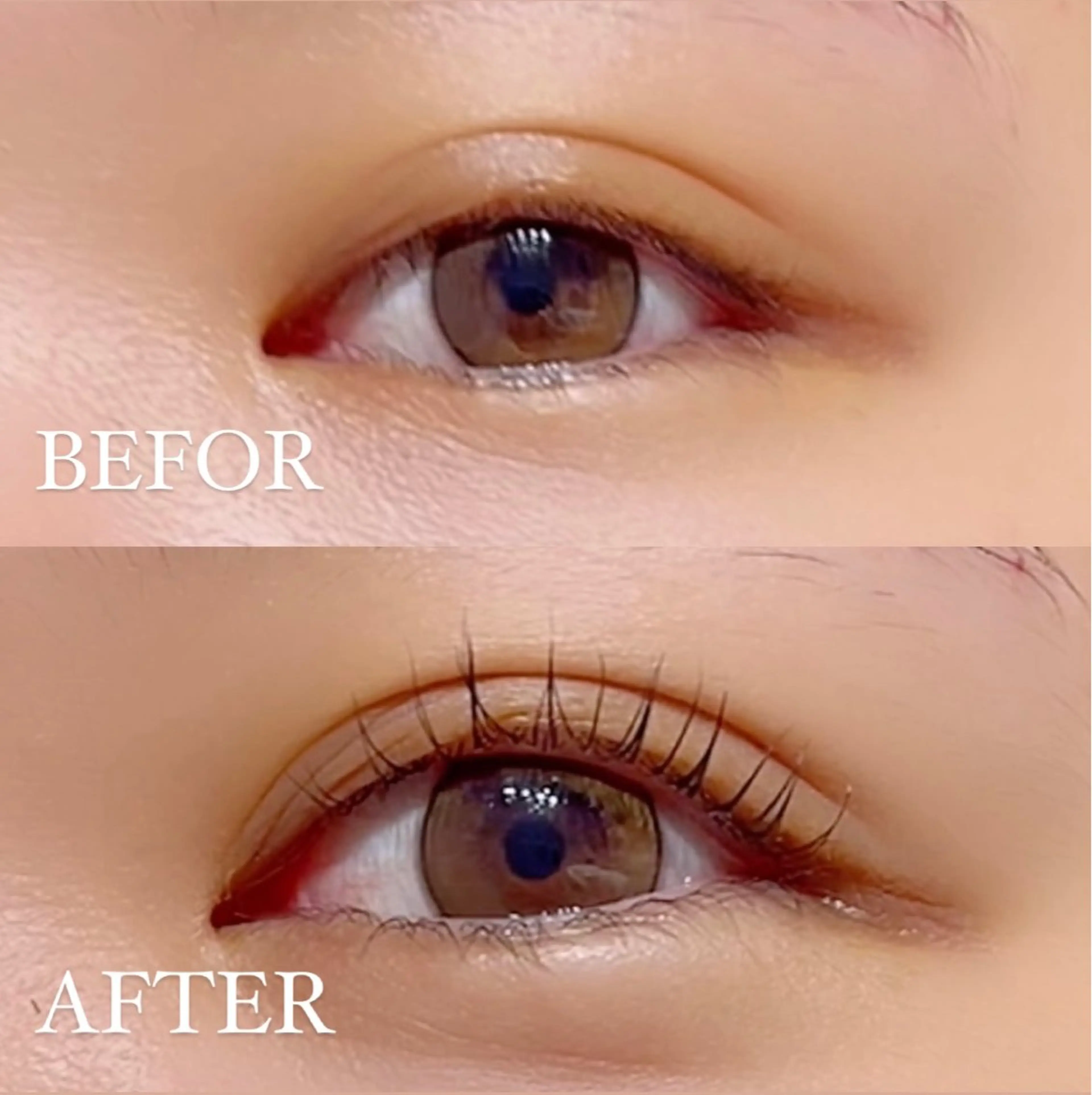 マツエク・マツパ 一重×まつ毛パーマ SAKUKU韓国式 まつ毛パーマ専門店のマツエク・マツパデザイン