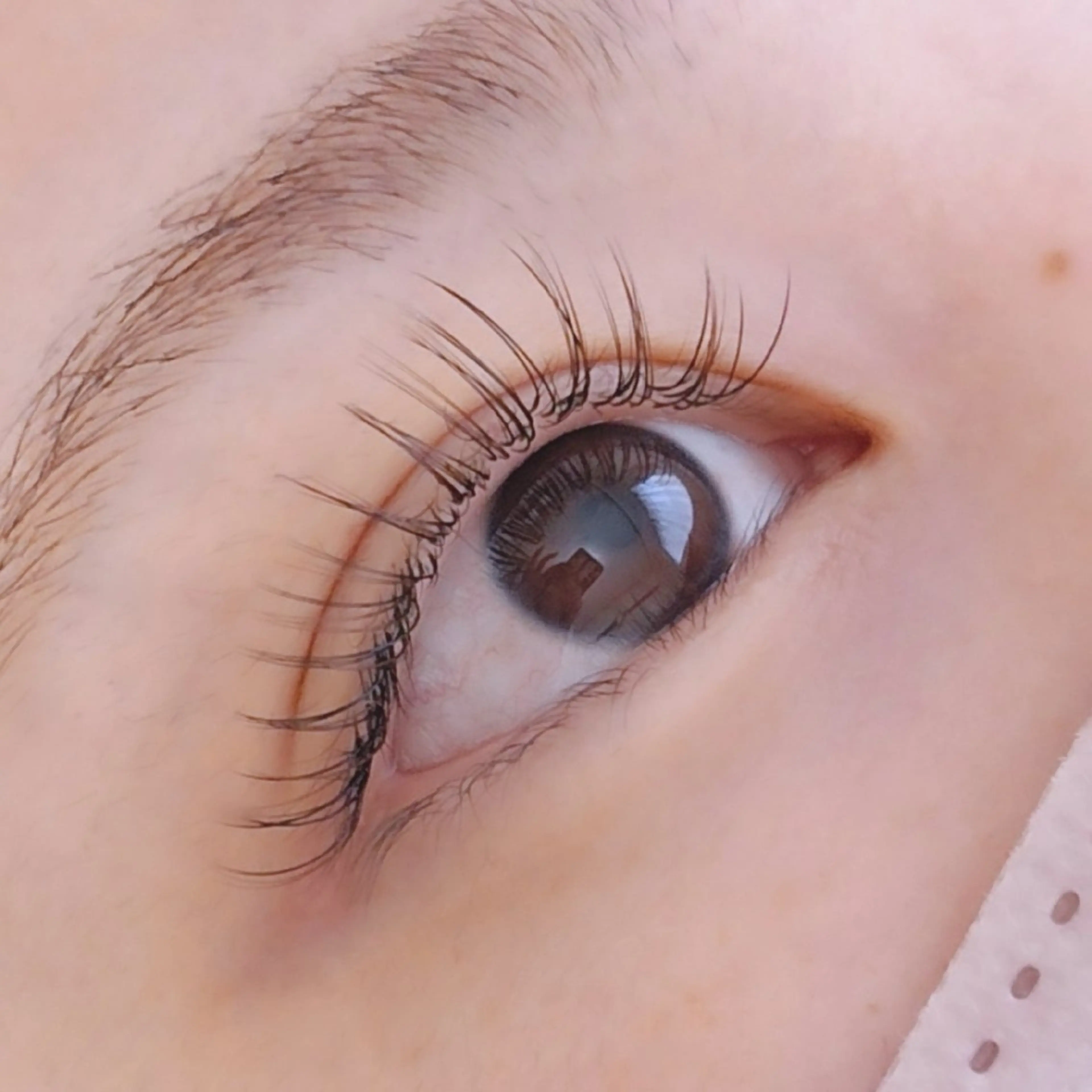 マツエク・マツパ フラットラッシュ ꕥ HONAのマツエク・マツパデザイン