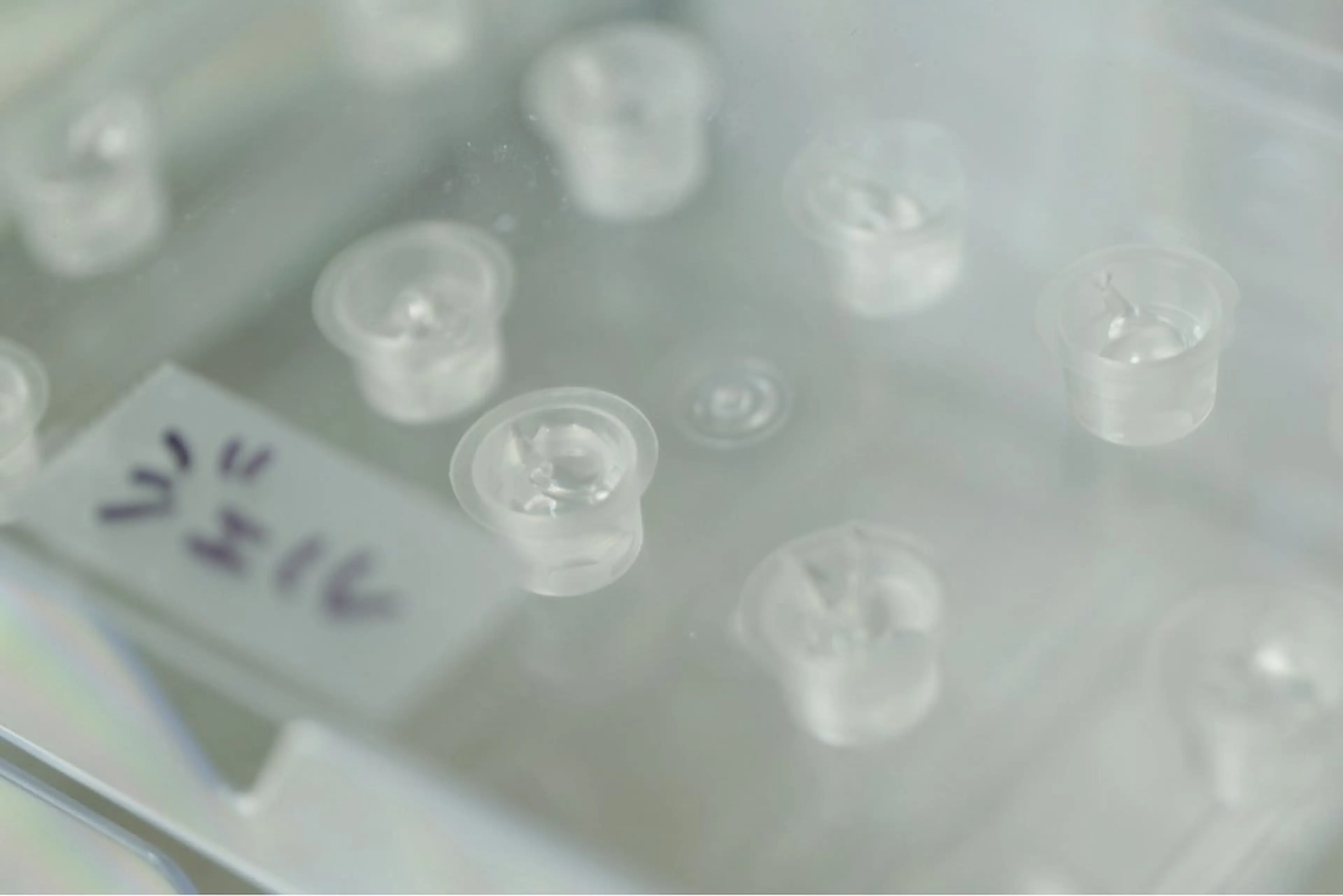 その他 セルフホワイトニング 都立大学🦷✴︎のその他イメージ