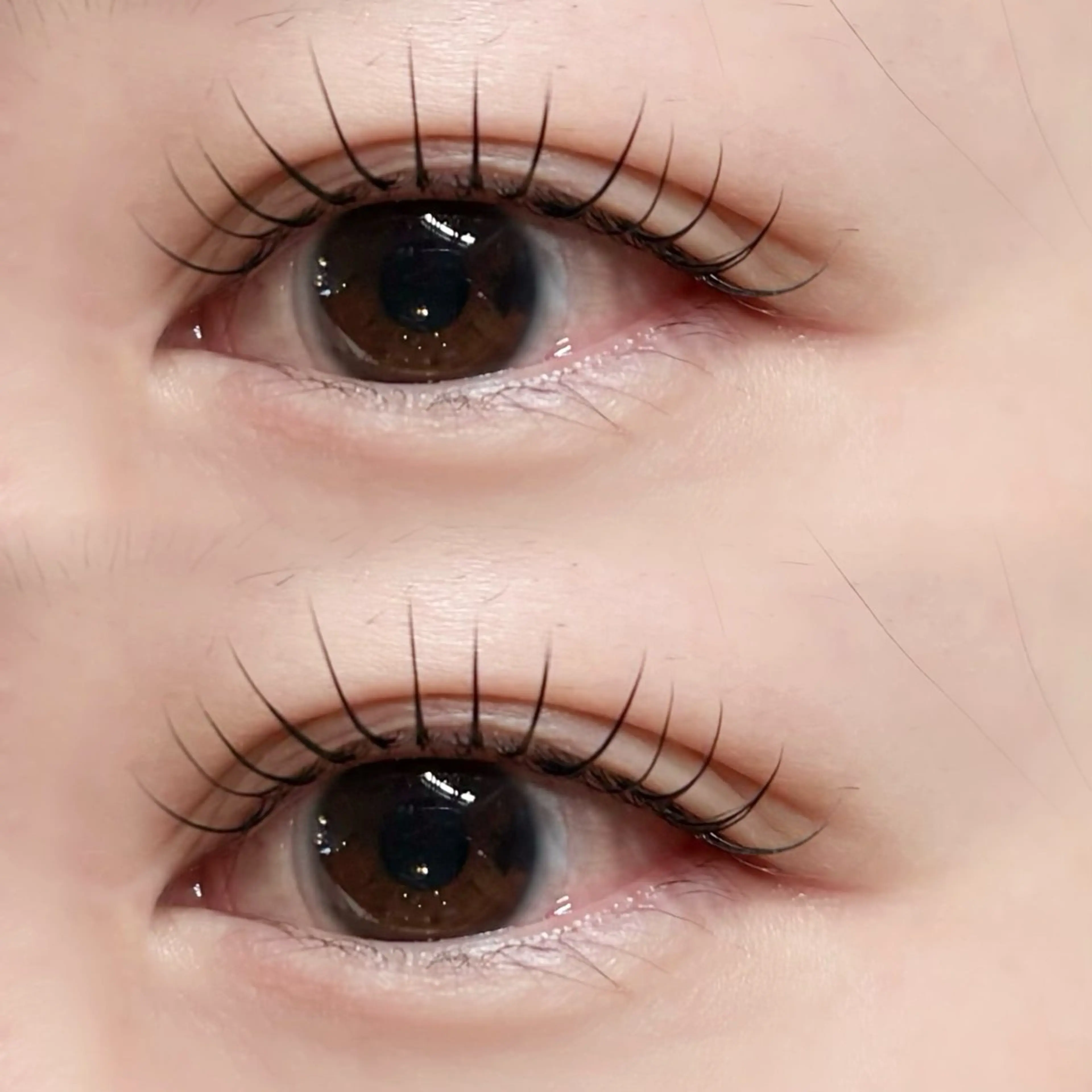 マツエク・マツパ マツエク Nixie こゆきのマツエク・マツパデザイン