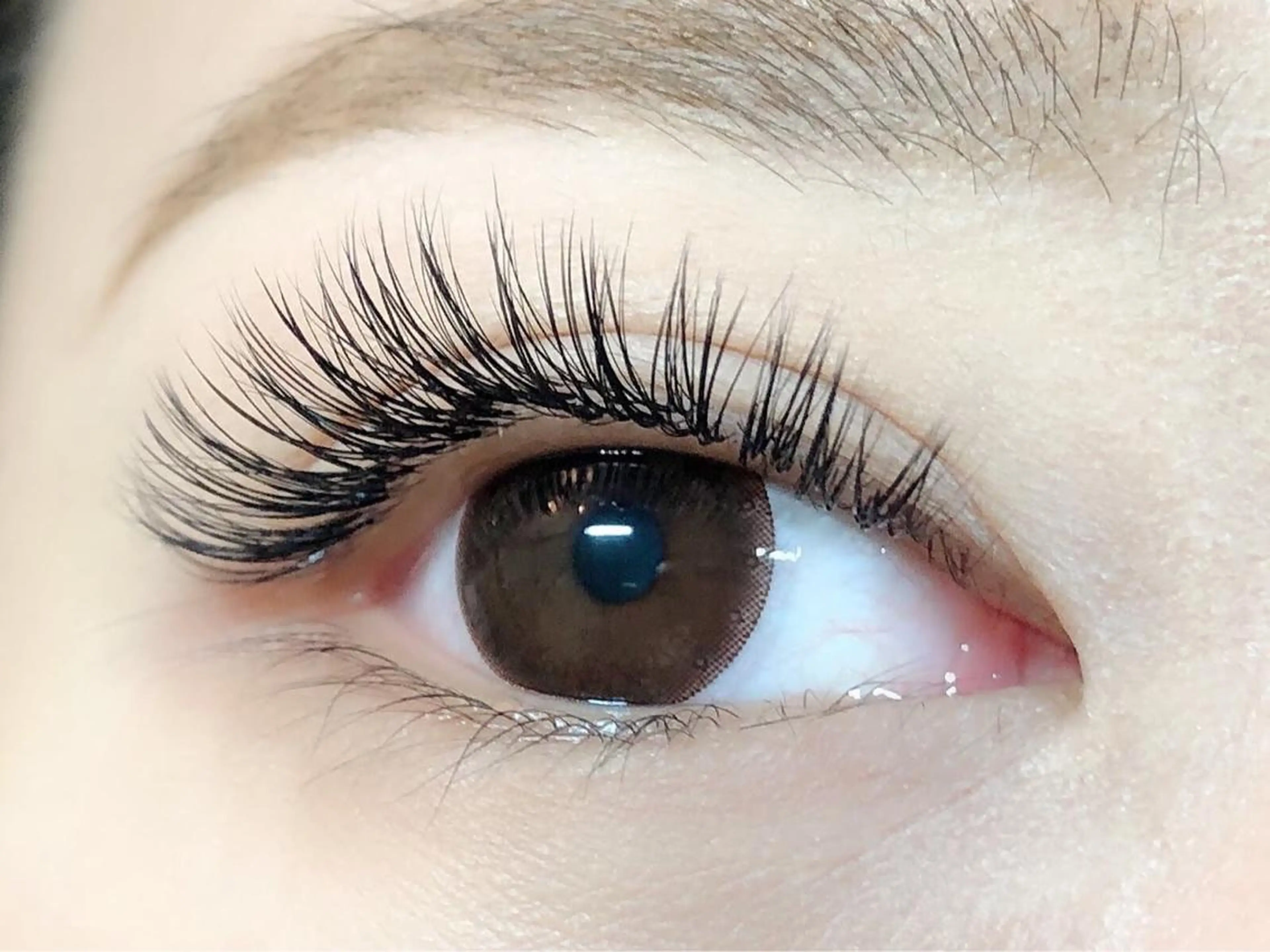 ★最強の持続力★バインドロック100束【LEDエクステ+¥1100でご変更可能】の写真