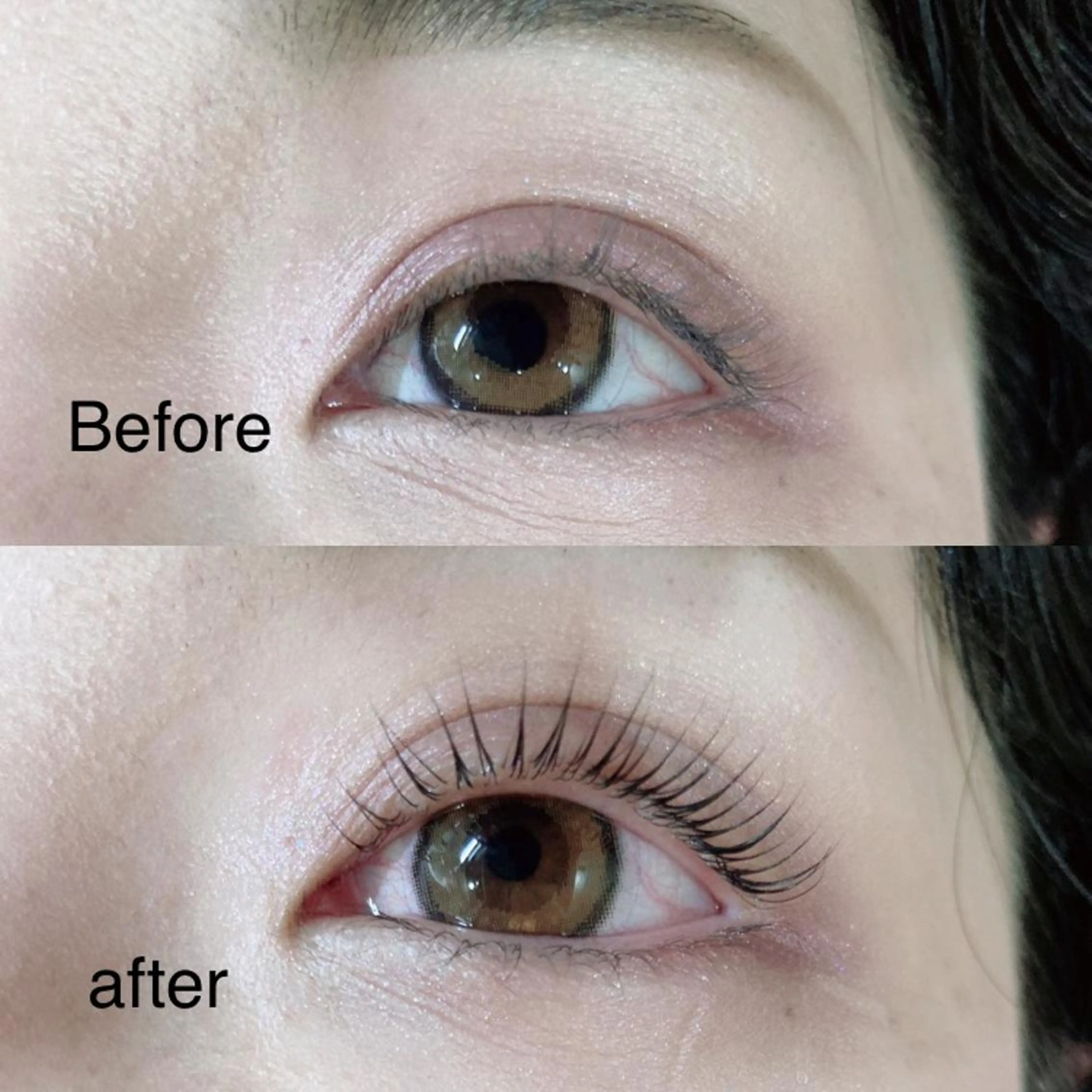 人気のメーテルラッシュの写真