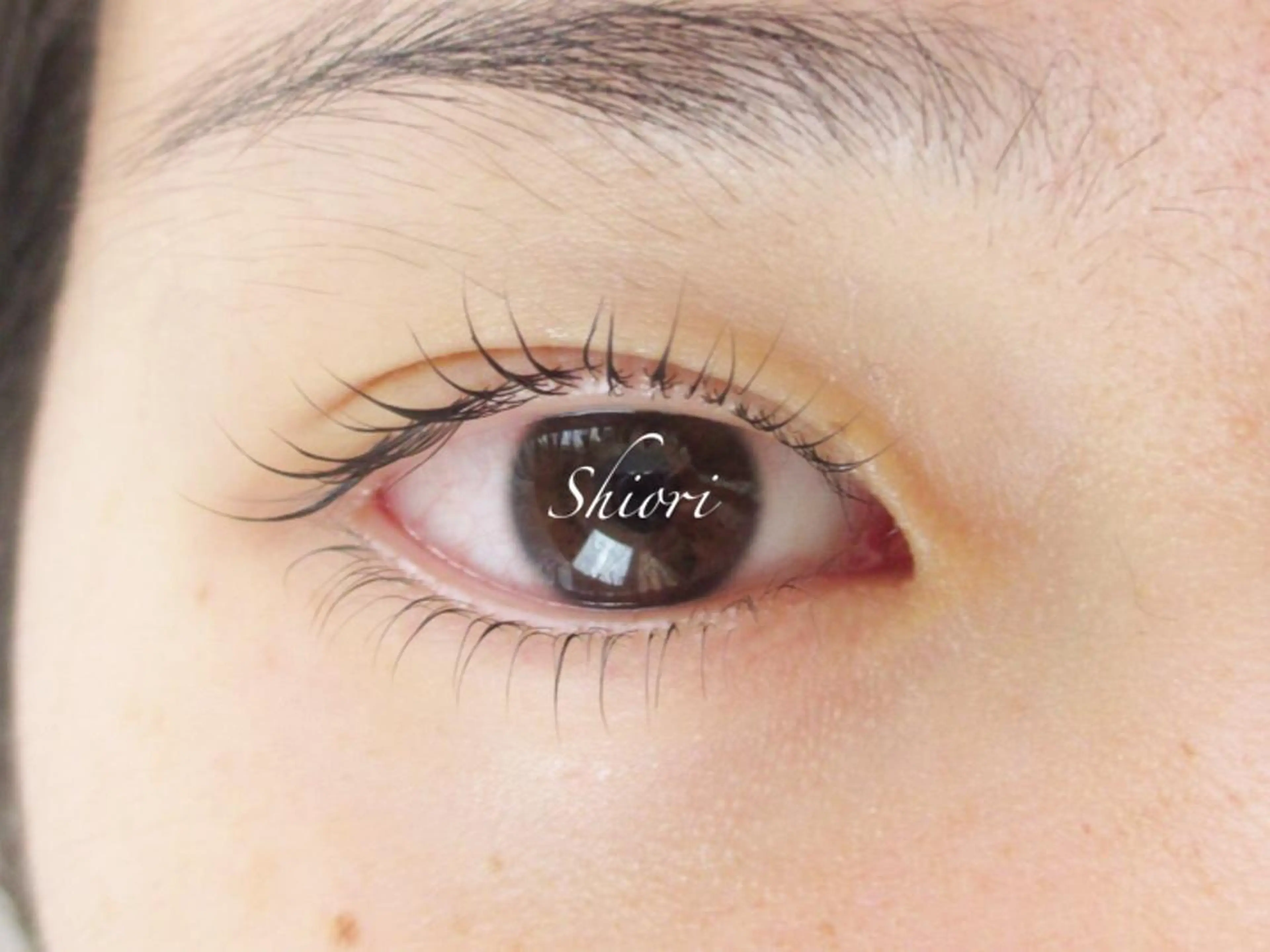 ふんわり丸みのあるまつげパーマ（上or下）の写真