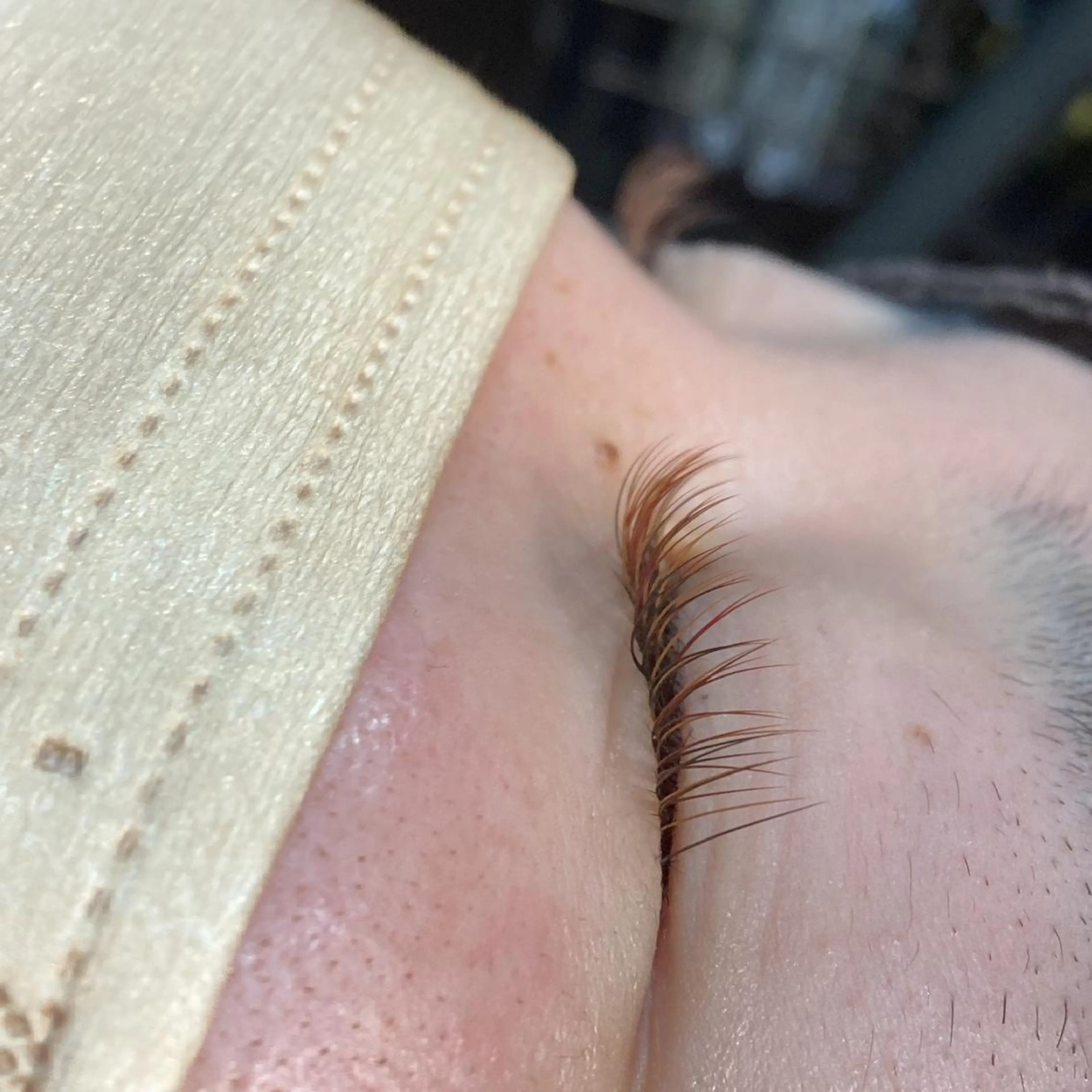 マツエク・マツパ カラーマツエク マツエク tozone eye AYANOのマツエク・マツパデザイン