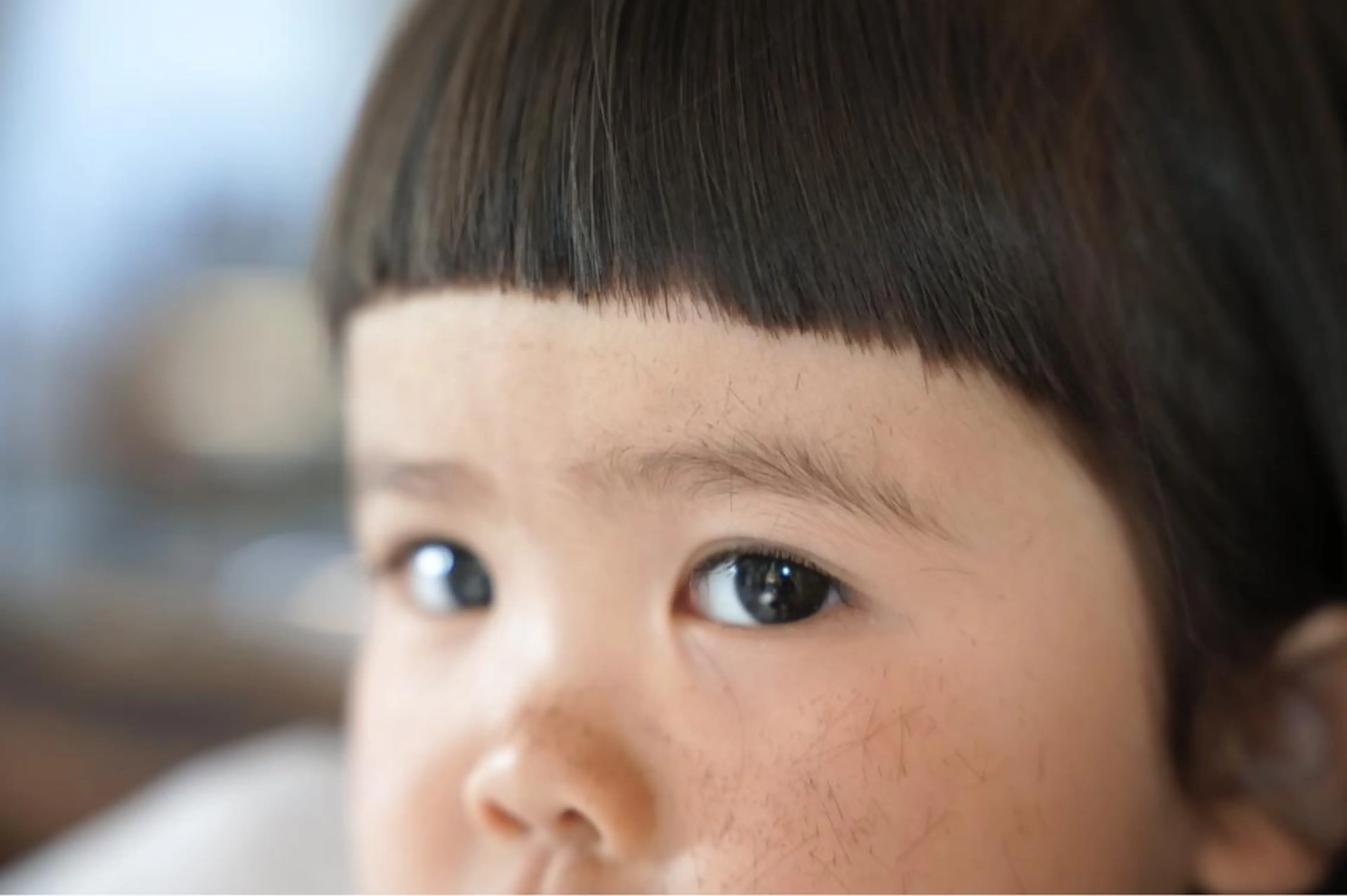 お子様カットの写真