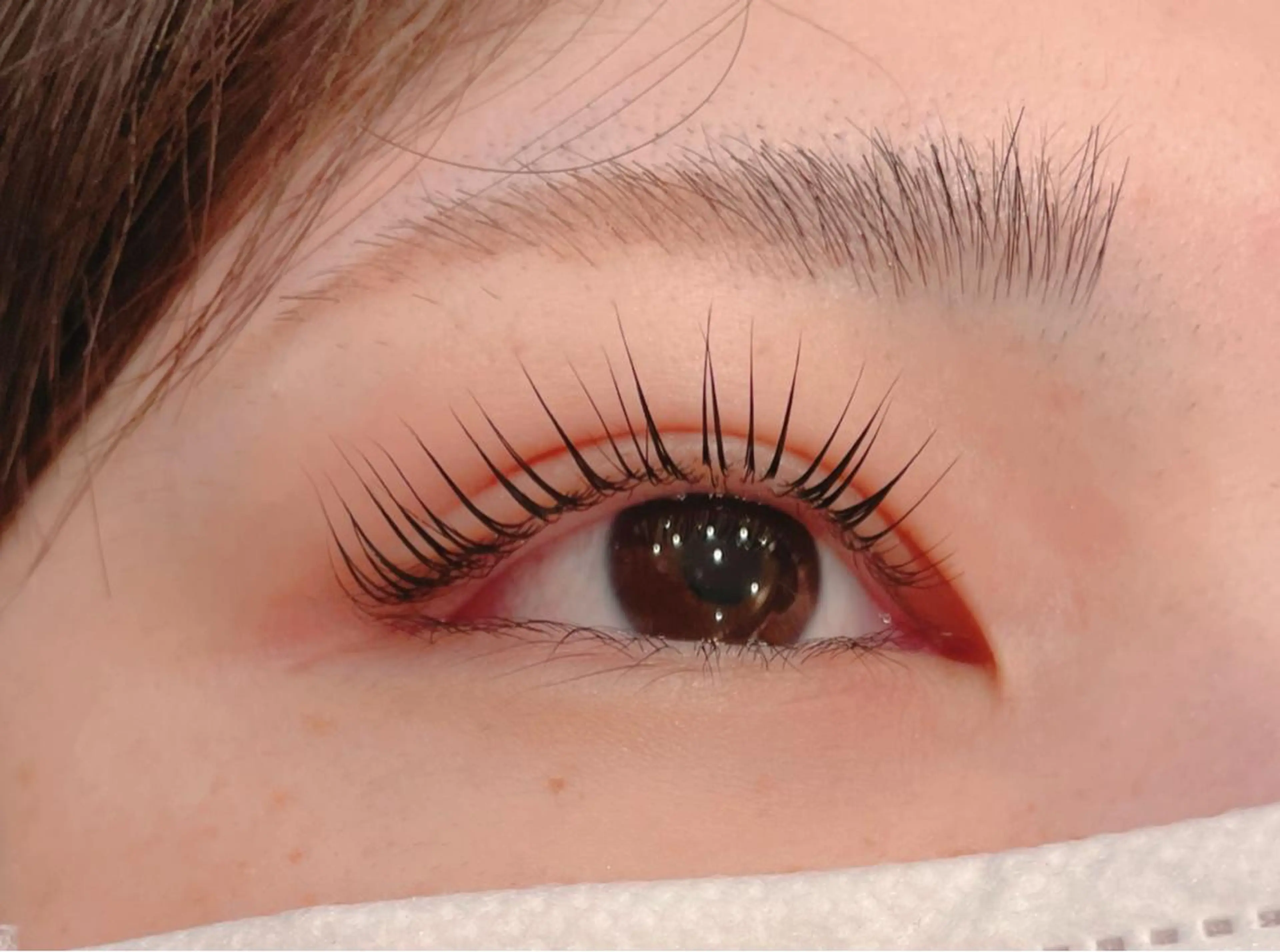 練習モデル💙パリジェンヌラッシュリフト💙エクステオフ不可の写真