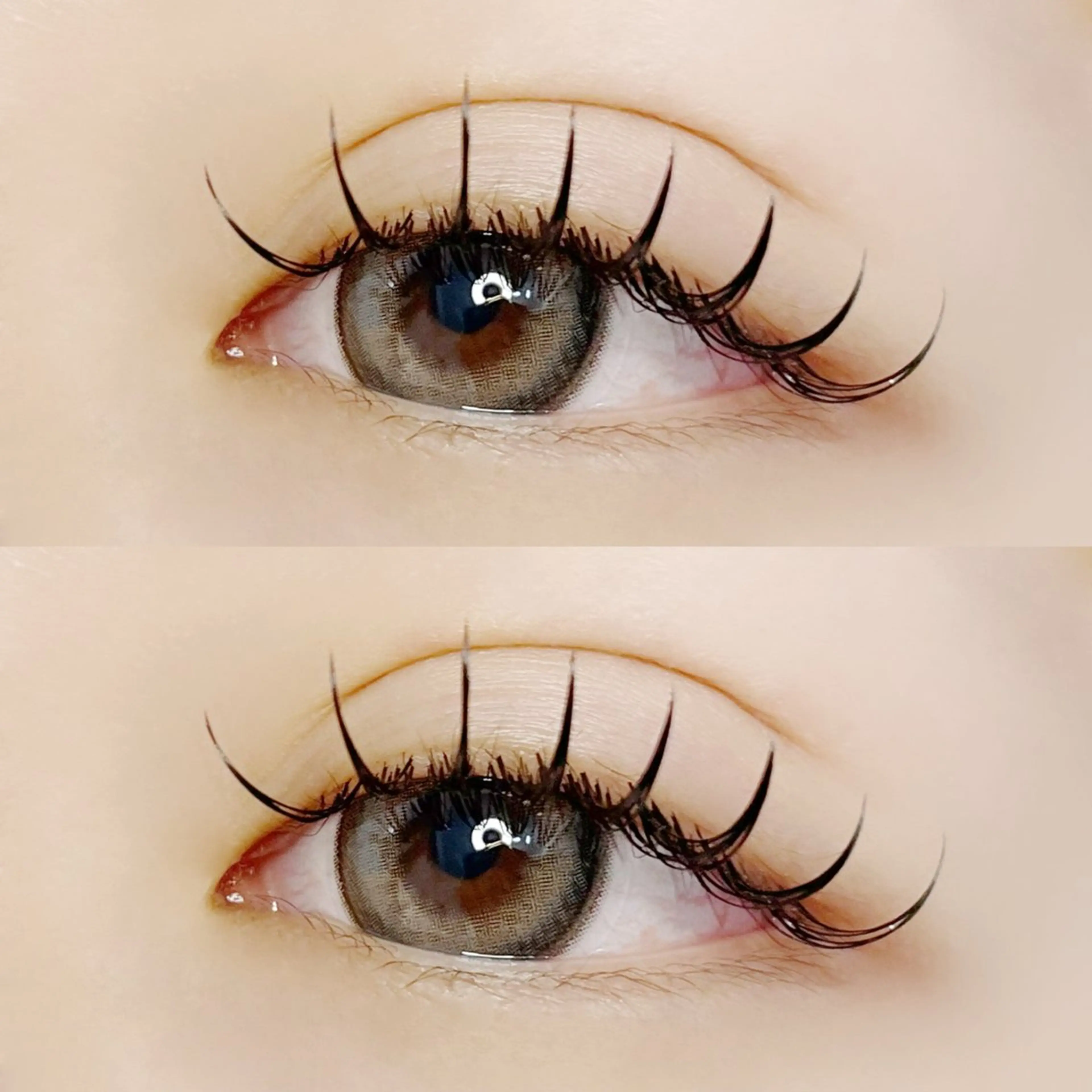 フラットラッシュ100本の写真