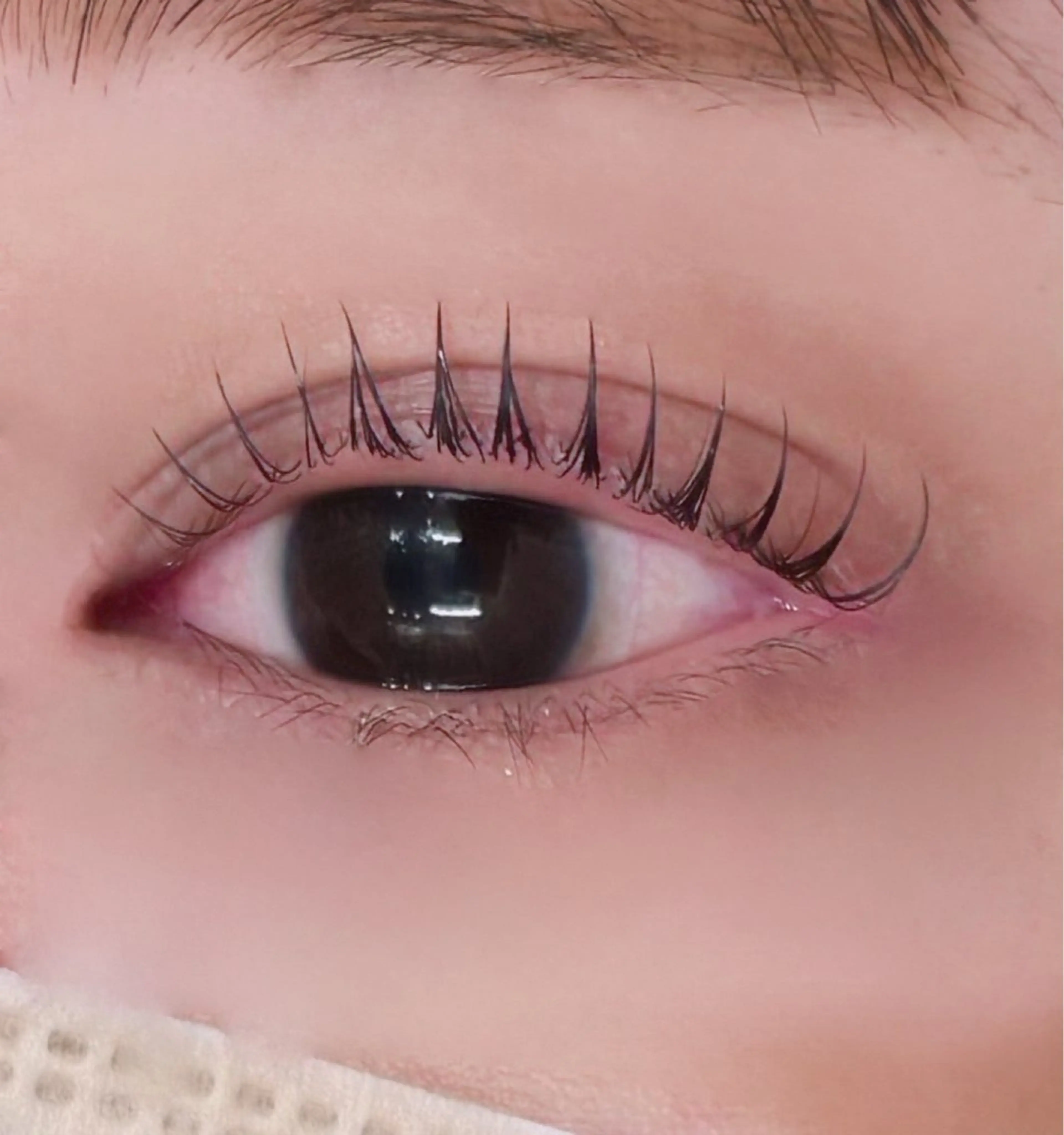 マツエク・マツパ Lupines Asahi🔆のマツエク・マツパデザイン