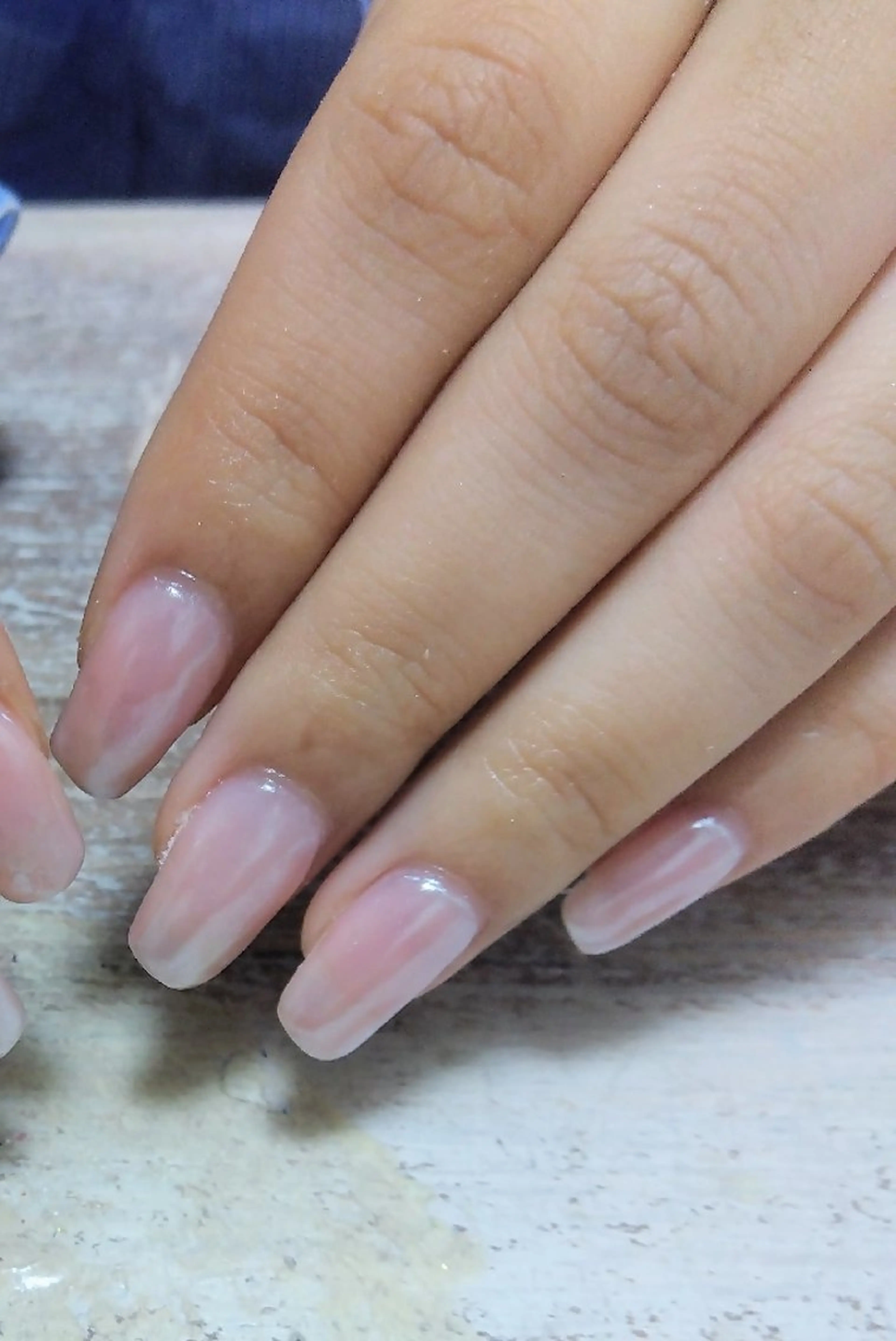 ワンカラー☆の写真