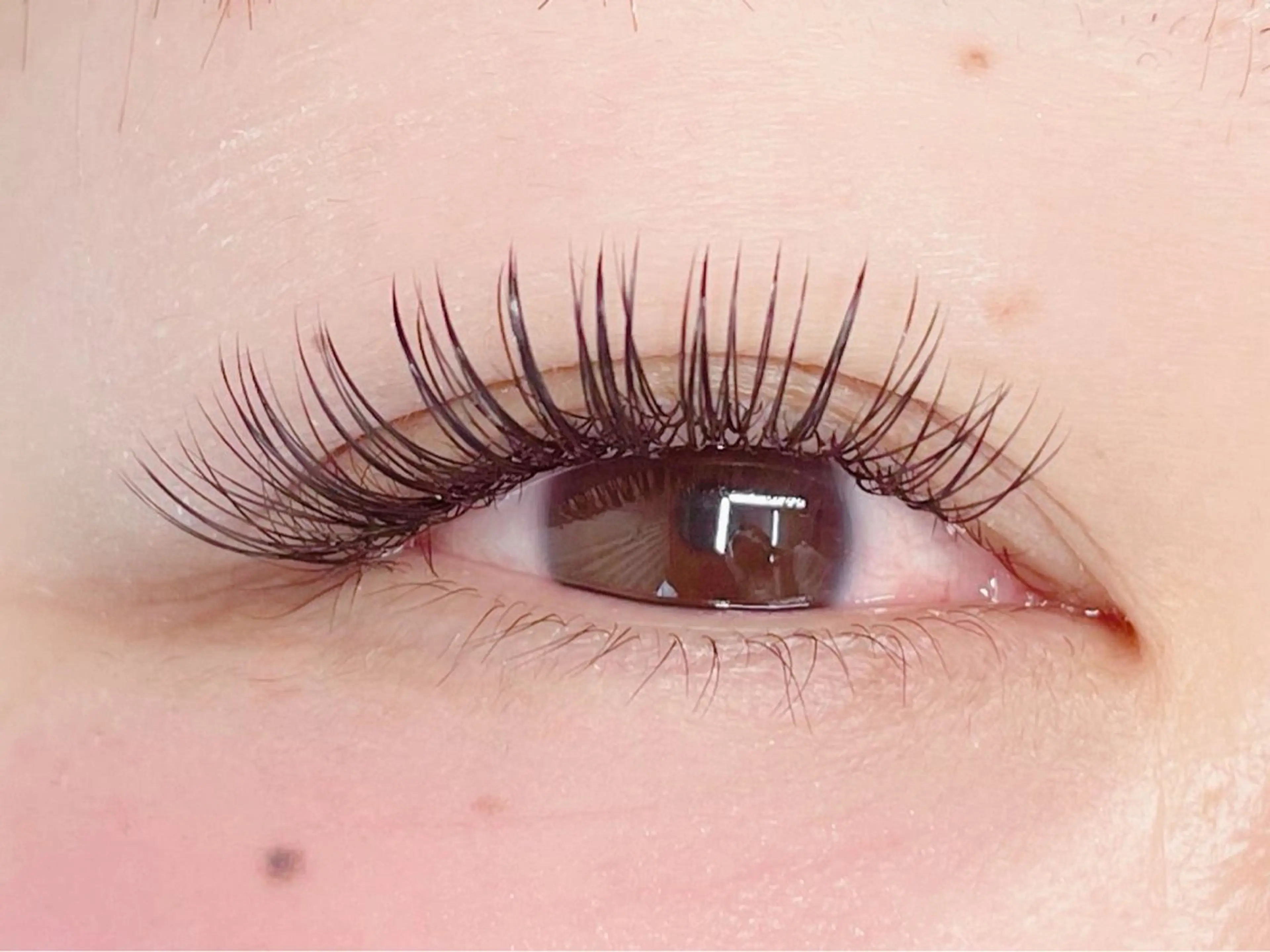 マツエク・マツパ eyelash CLAYの眉毛・アイブロウイメージ