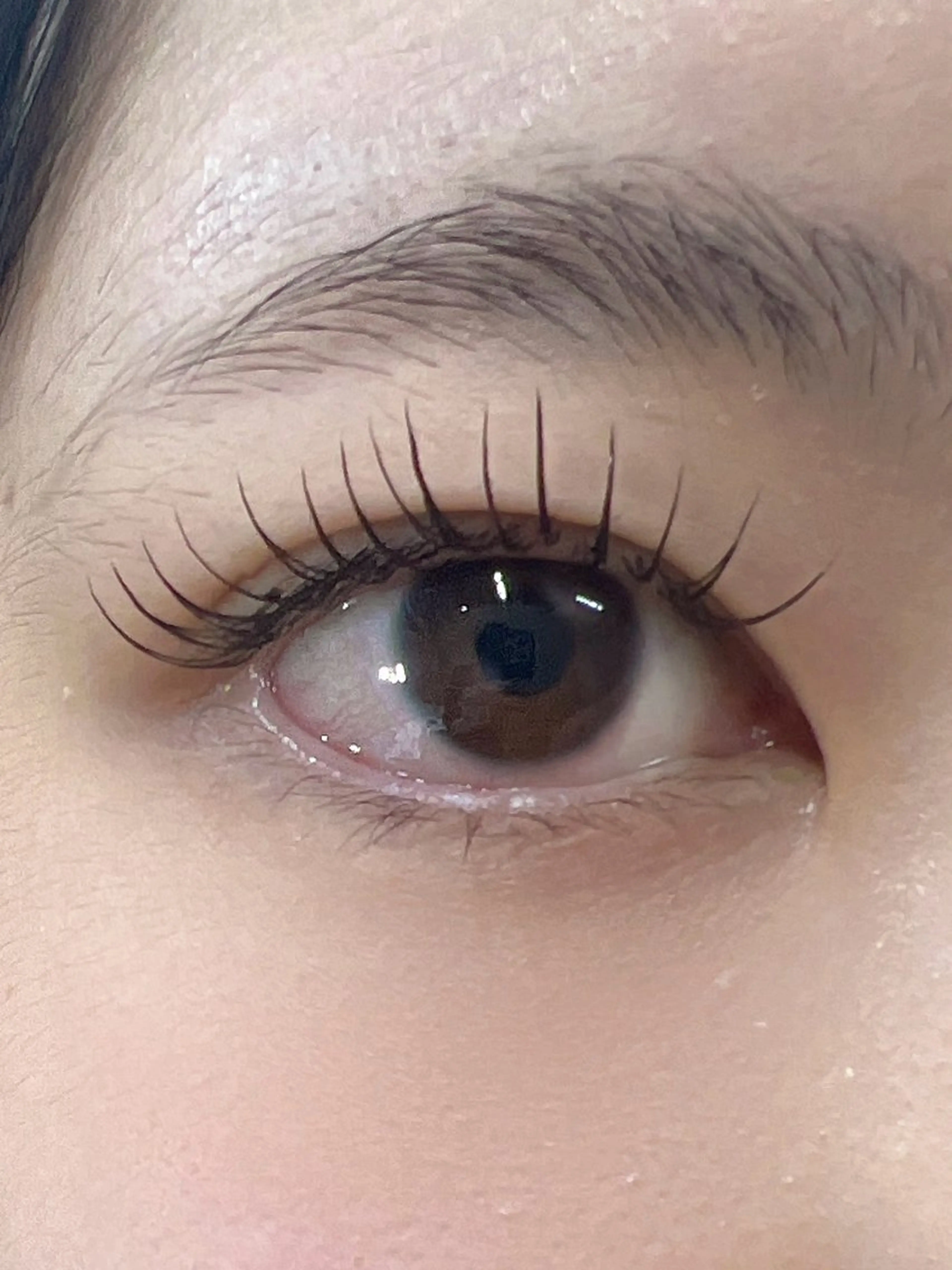 マツエク・マツパ Cカール フラットラッシュ MAQUIA 大場の眉毛・アイブロウイメージ