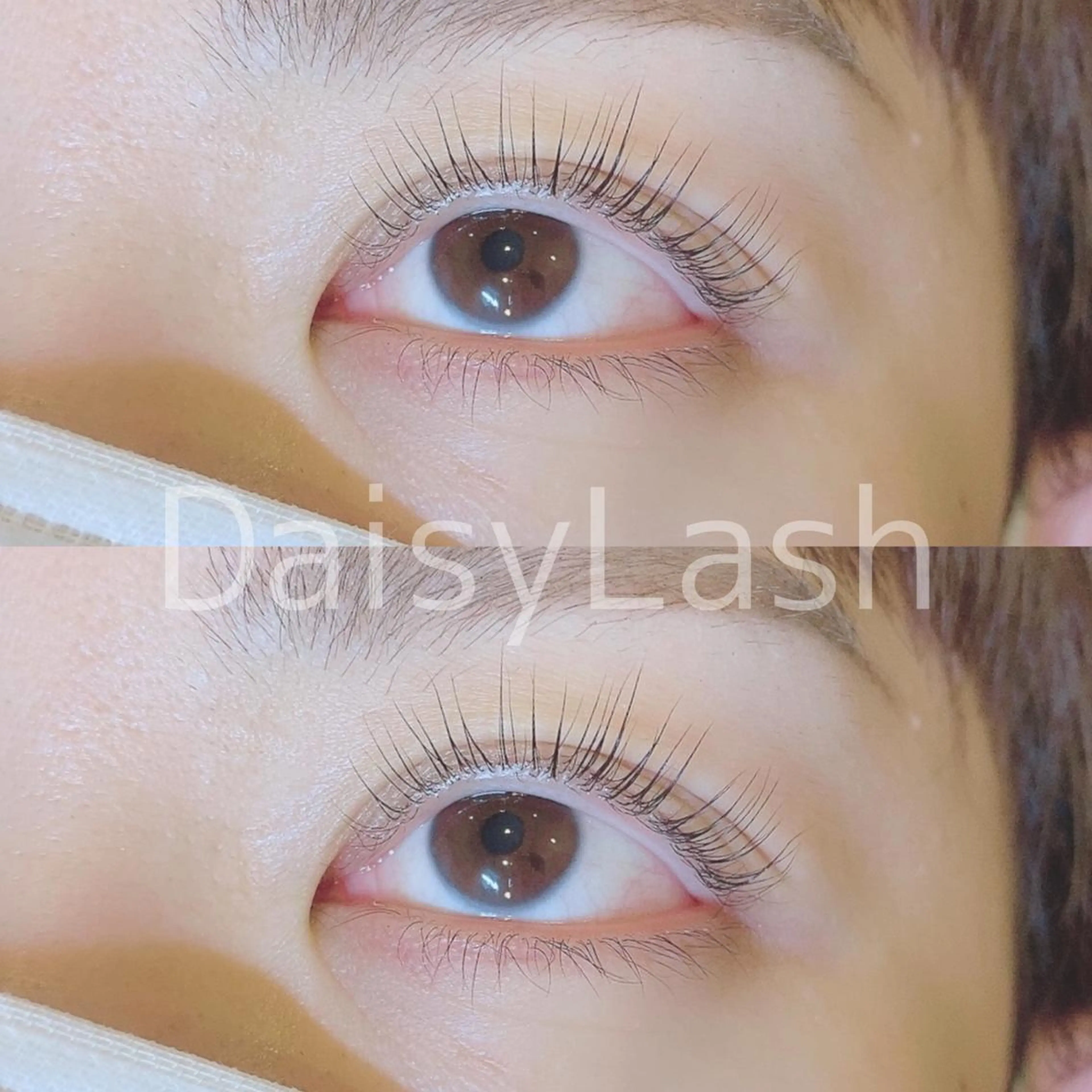 マツエク・マツパ DaisyLash 京橋店のマツエク・マツパデザイン