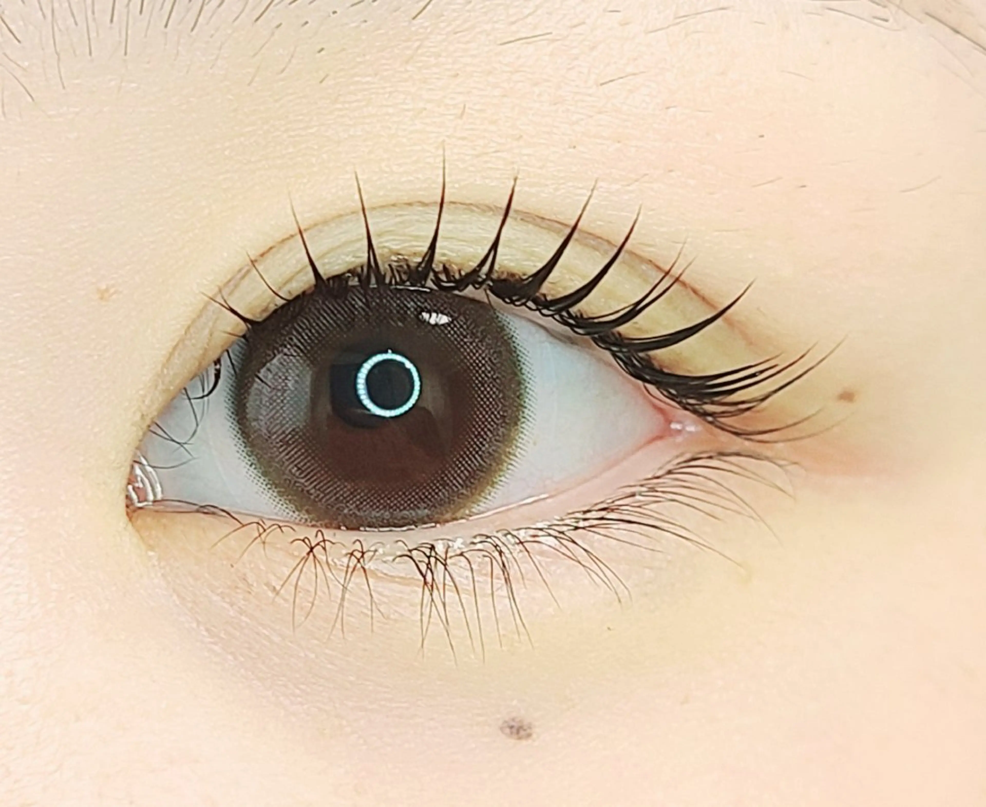 パーマ マツパ セレビアイ/ ISHIIのマツエク・マツパデザイン