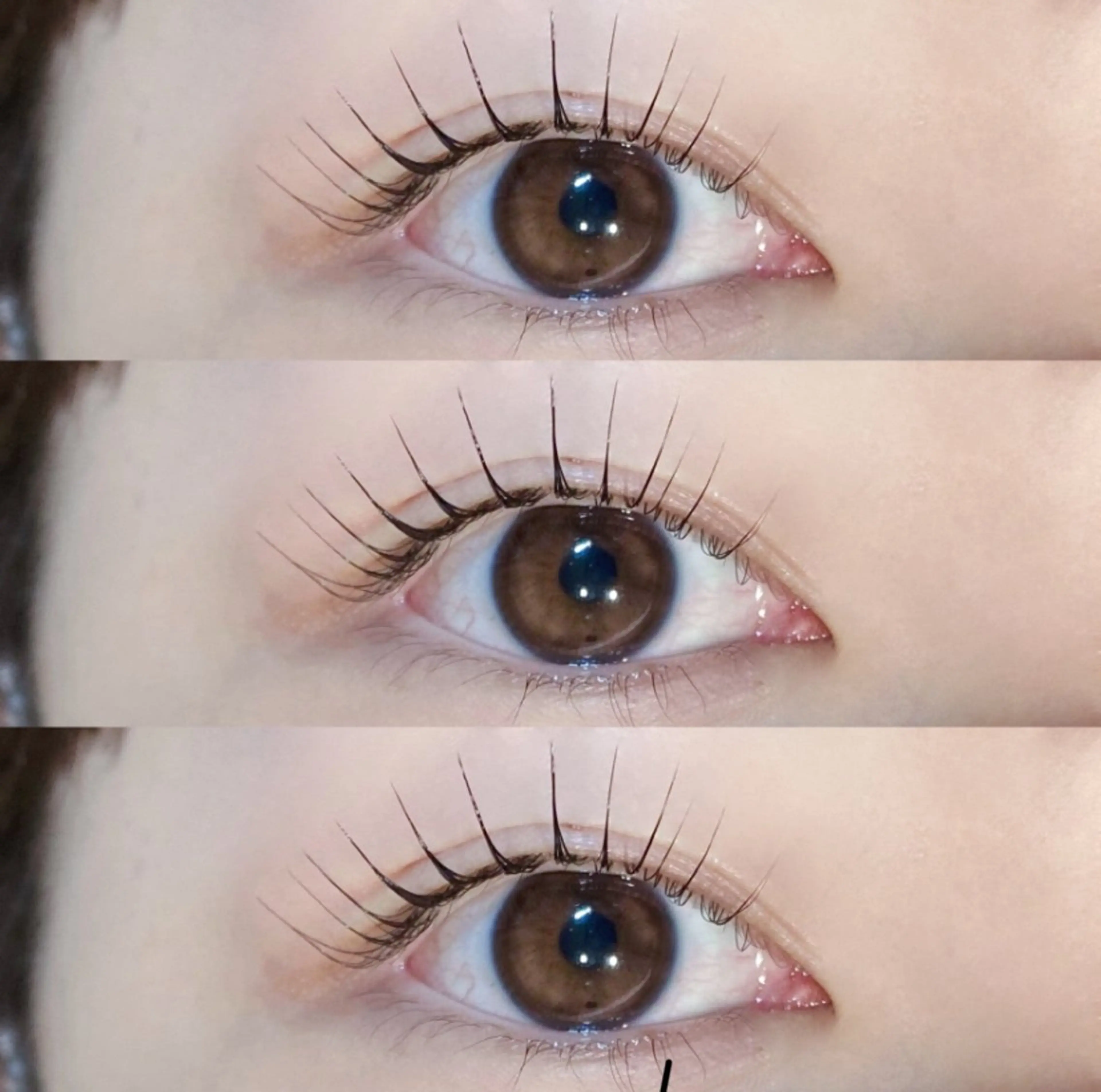 パリジェンヌラッシュリフト【高濃度トリートメント付き】の写真