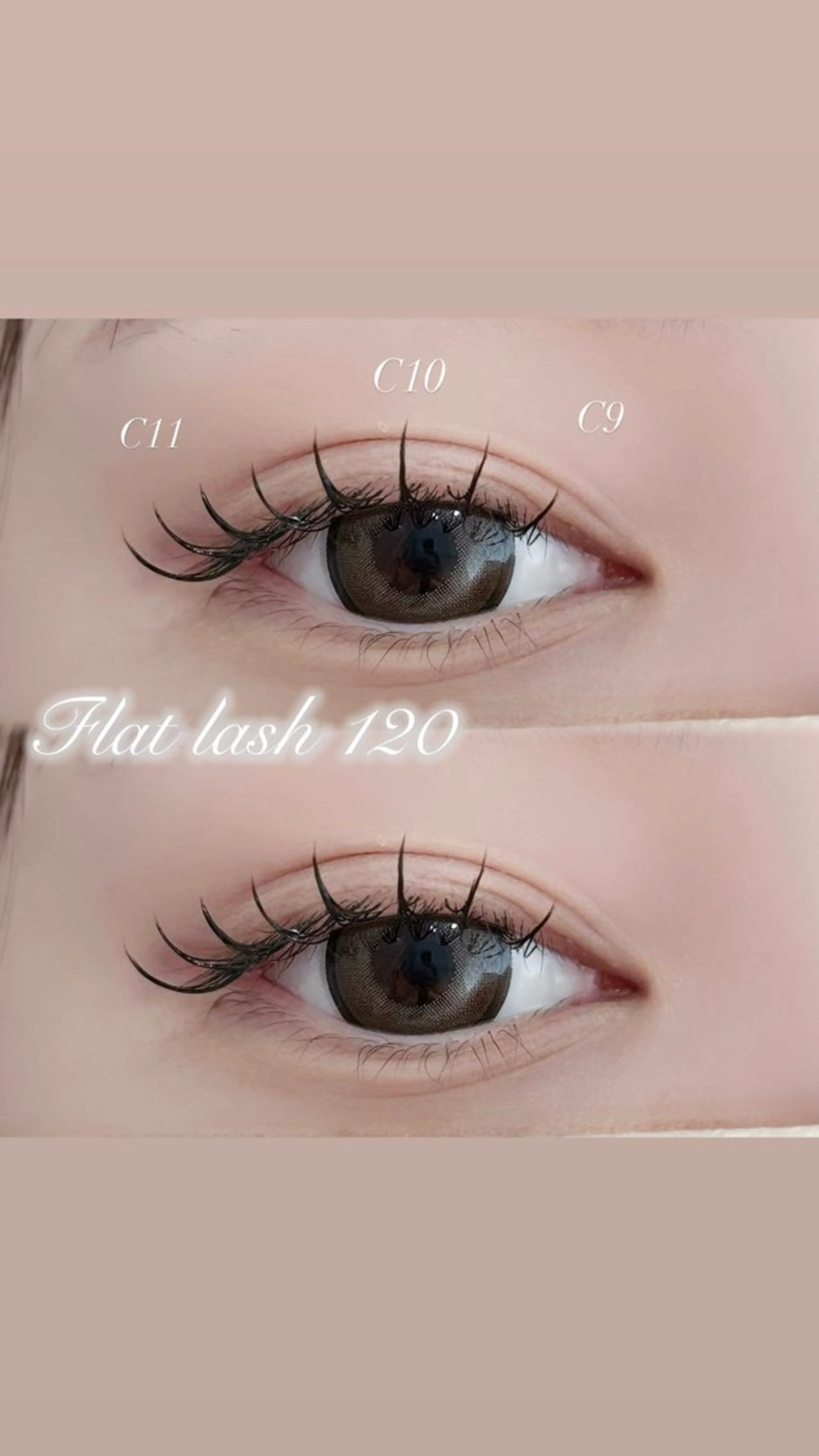 マツエク・マツパ フラットラッシュ Chaton SUZUKIのマツエク・マツパデザイン