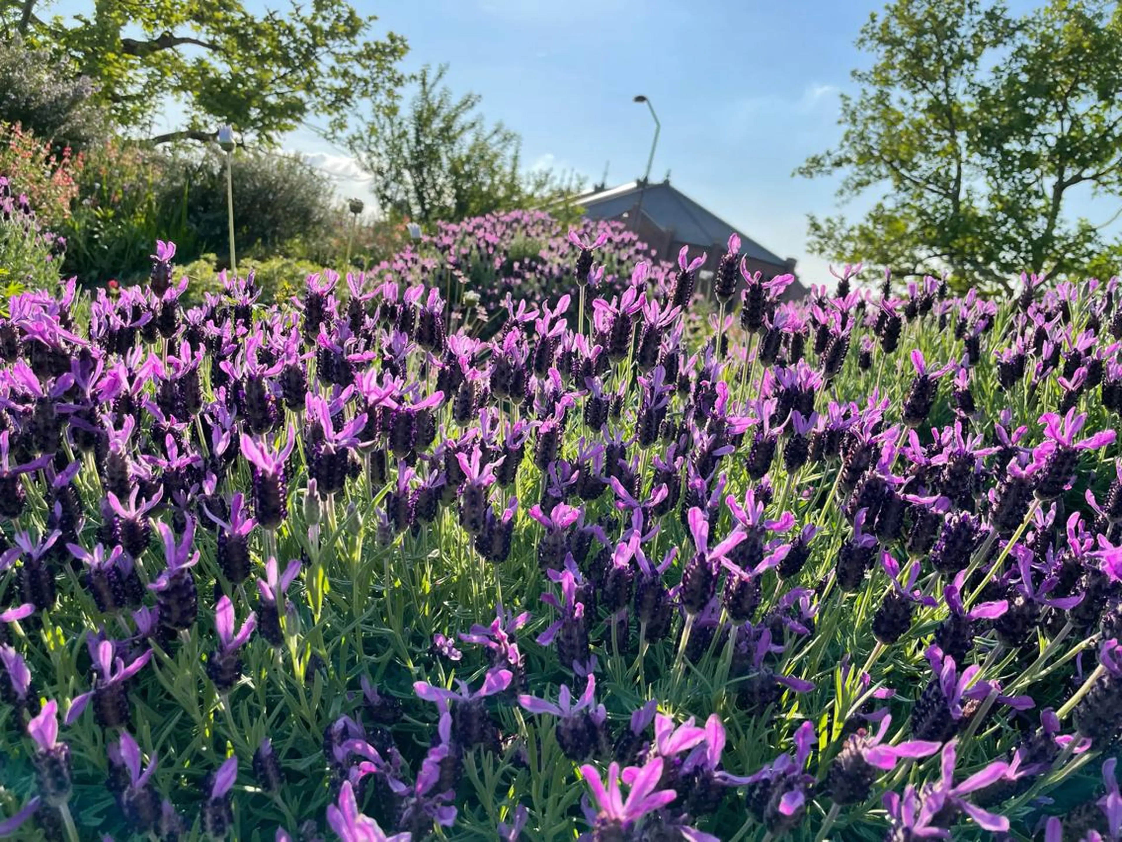 エステ＆アロマ HANAのエステ・リラクイメージ