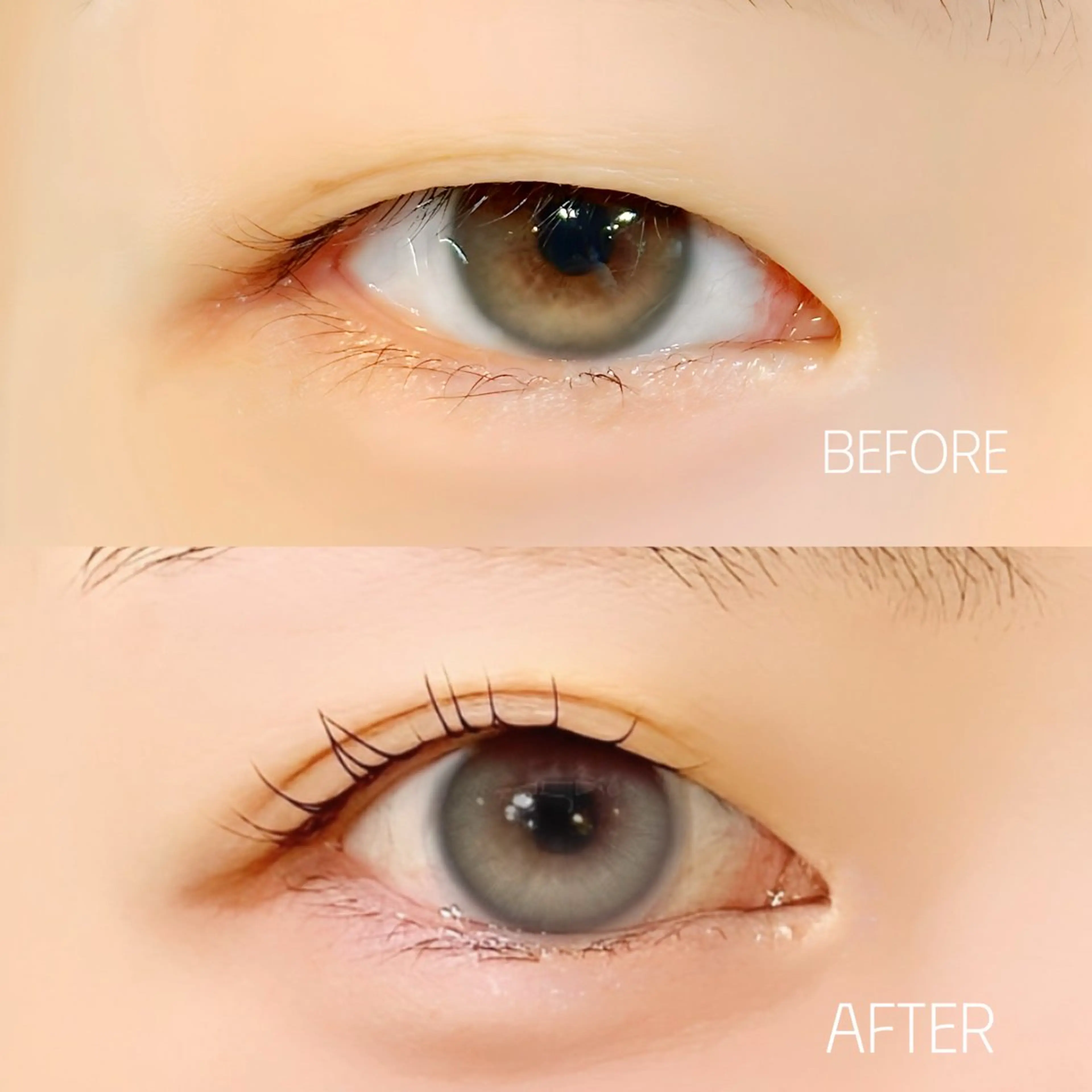 マツエク・マツパ 一重×まつ毛パーマ 美容室OPTION所属・カズキ🪵 OPTIONのマツエク・マツパデザイン