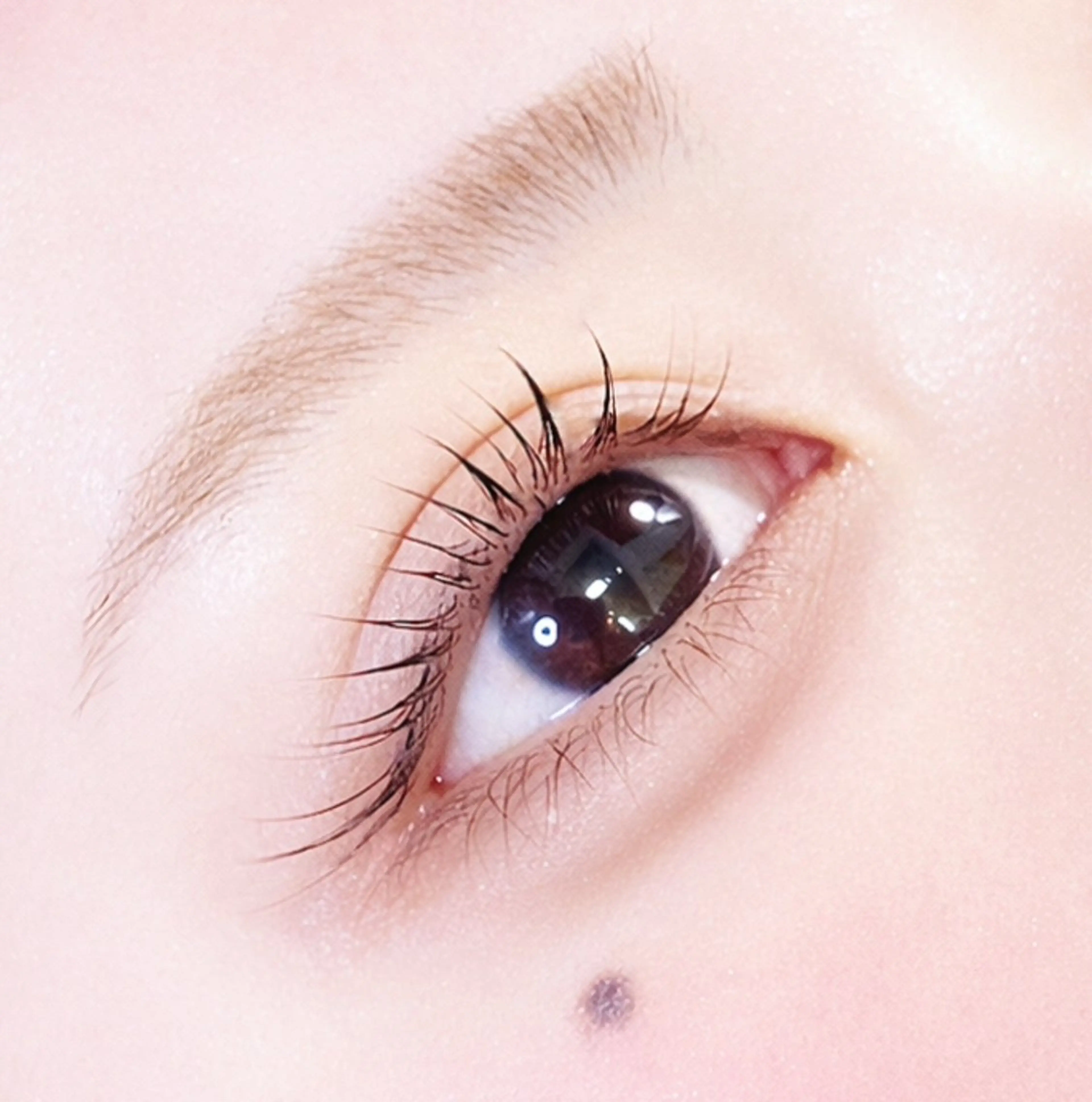 🦋眉毛WAX➕ラッシュリフト𝑜𝑟パリジェンヌ➕コーティング付✮ ̖́-‬の写真