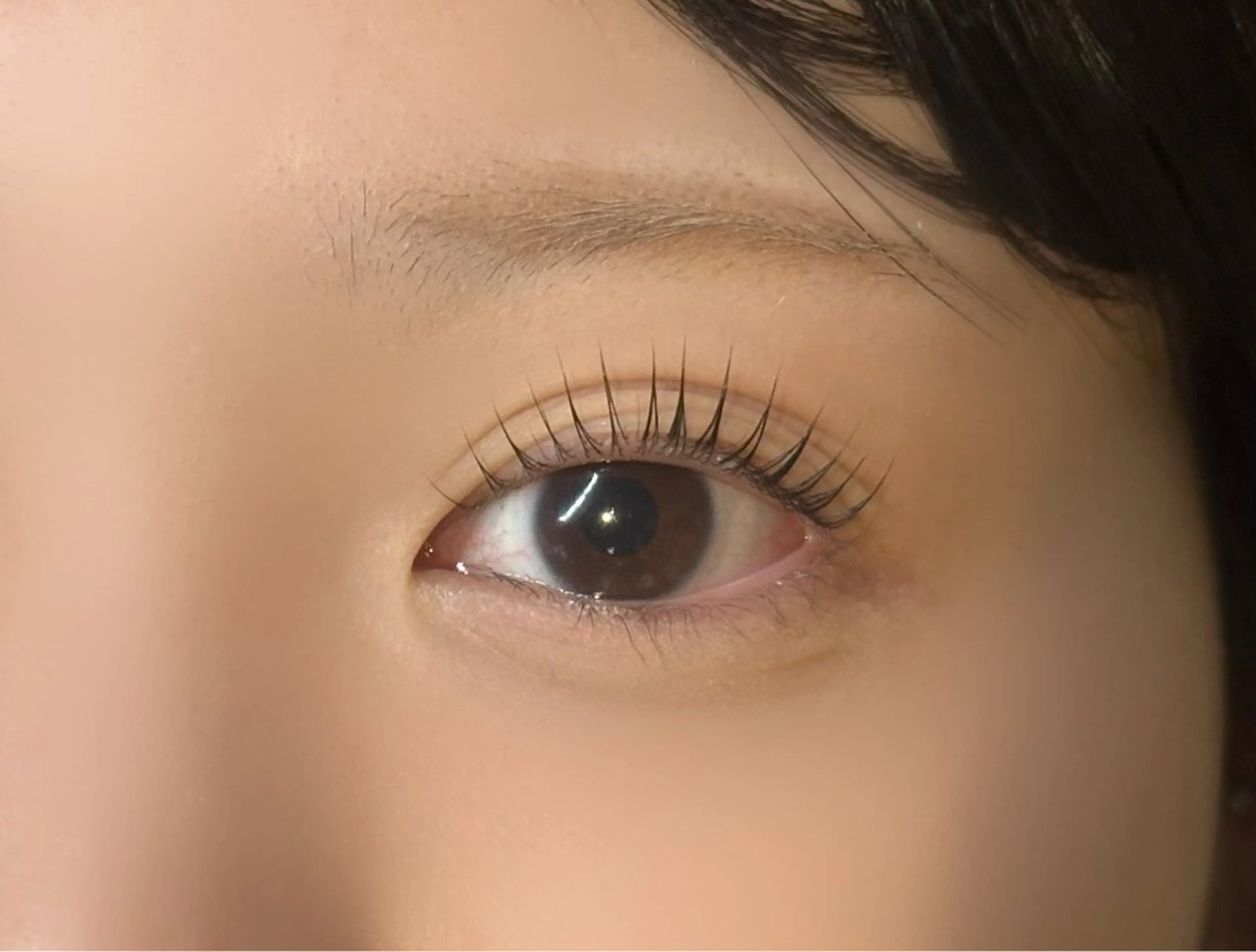 【当日限定】《パリジェンヌorまつ毛パーマ（上）　》ケラチントリートメント仕上げの写真