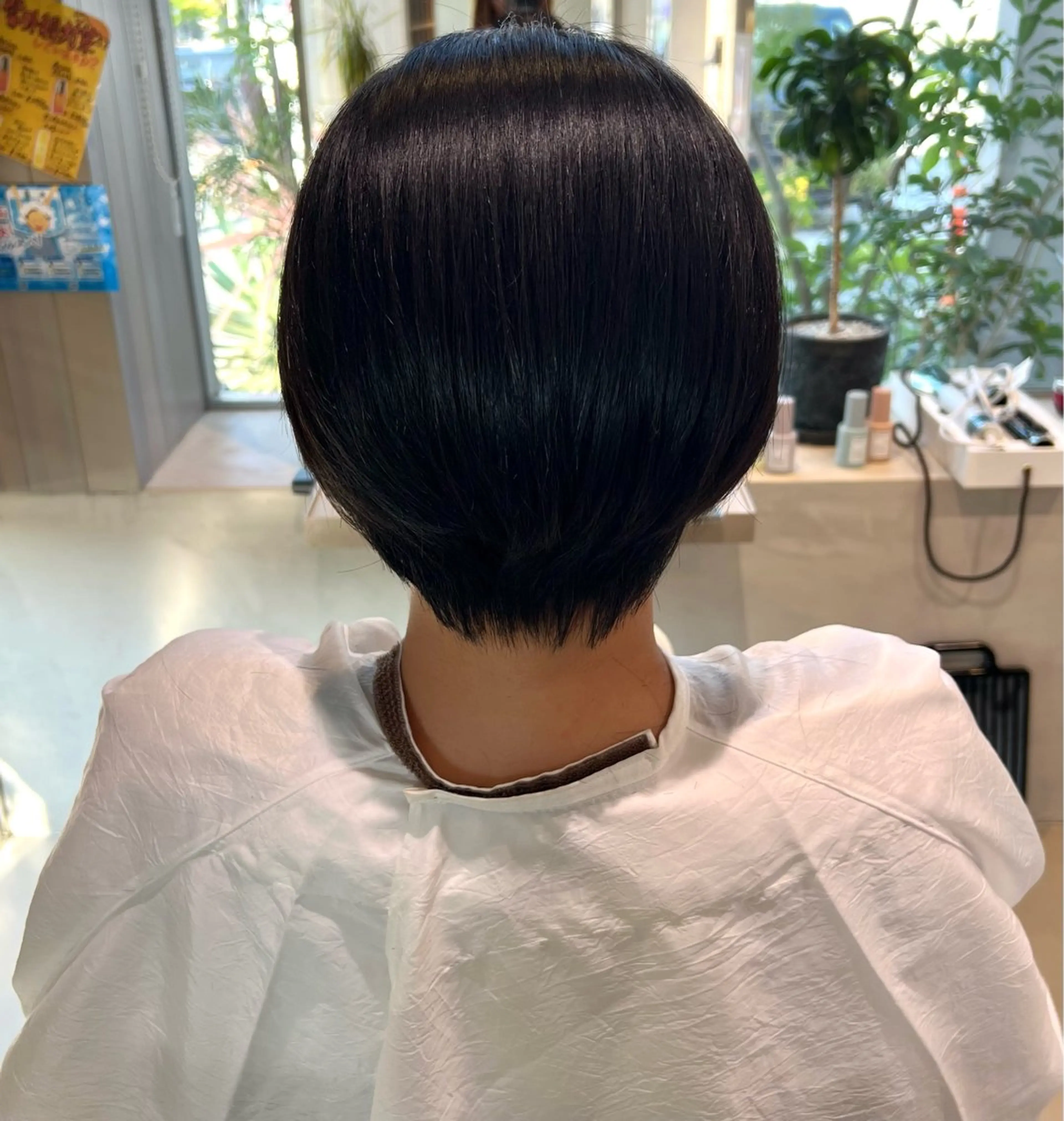 ショート 坂野 美葵のヘアスタイル