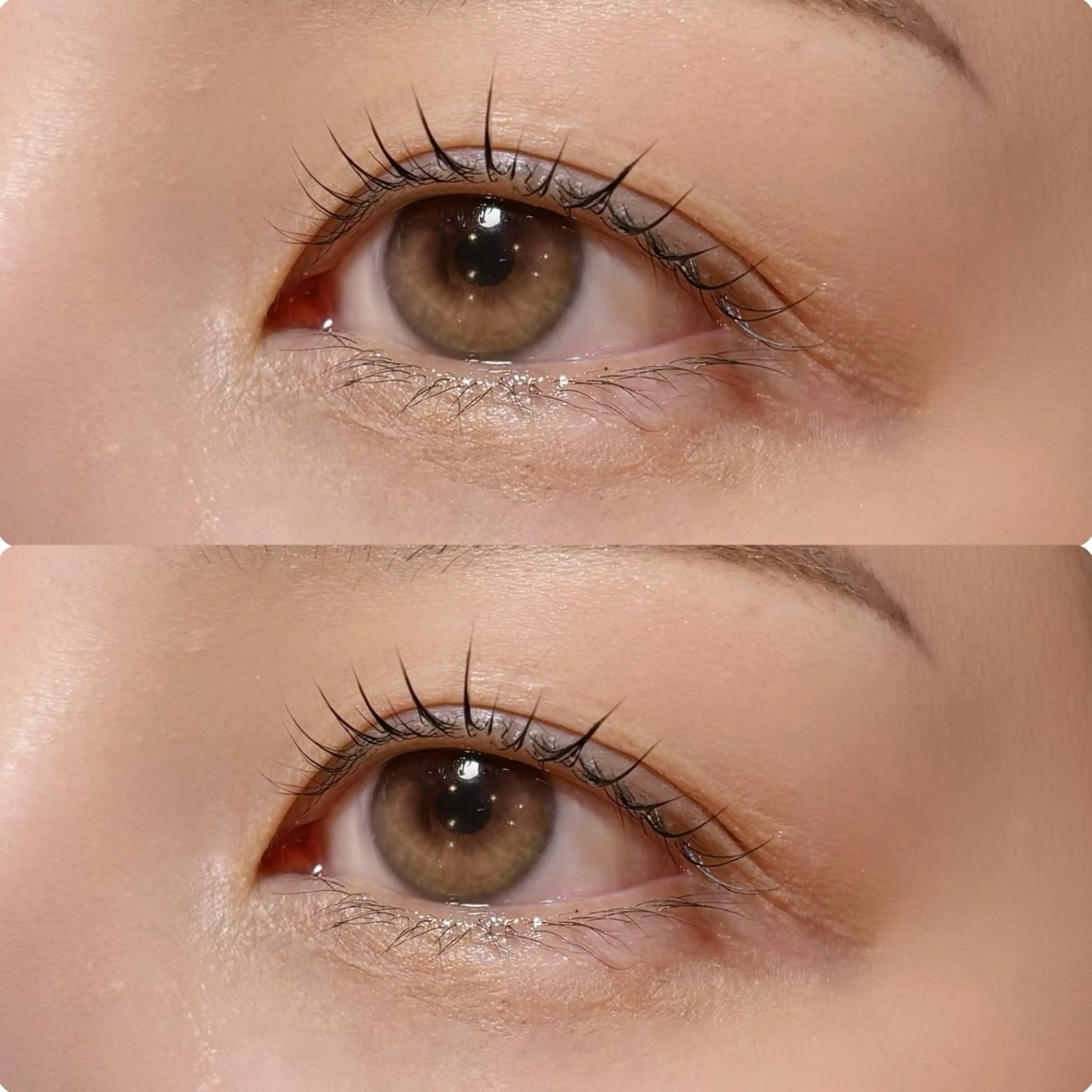 マツエク・マツパ マツパ meguru／マツパ ／マツエク／束感のマツエク・マツパデザイン