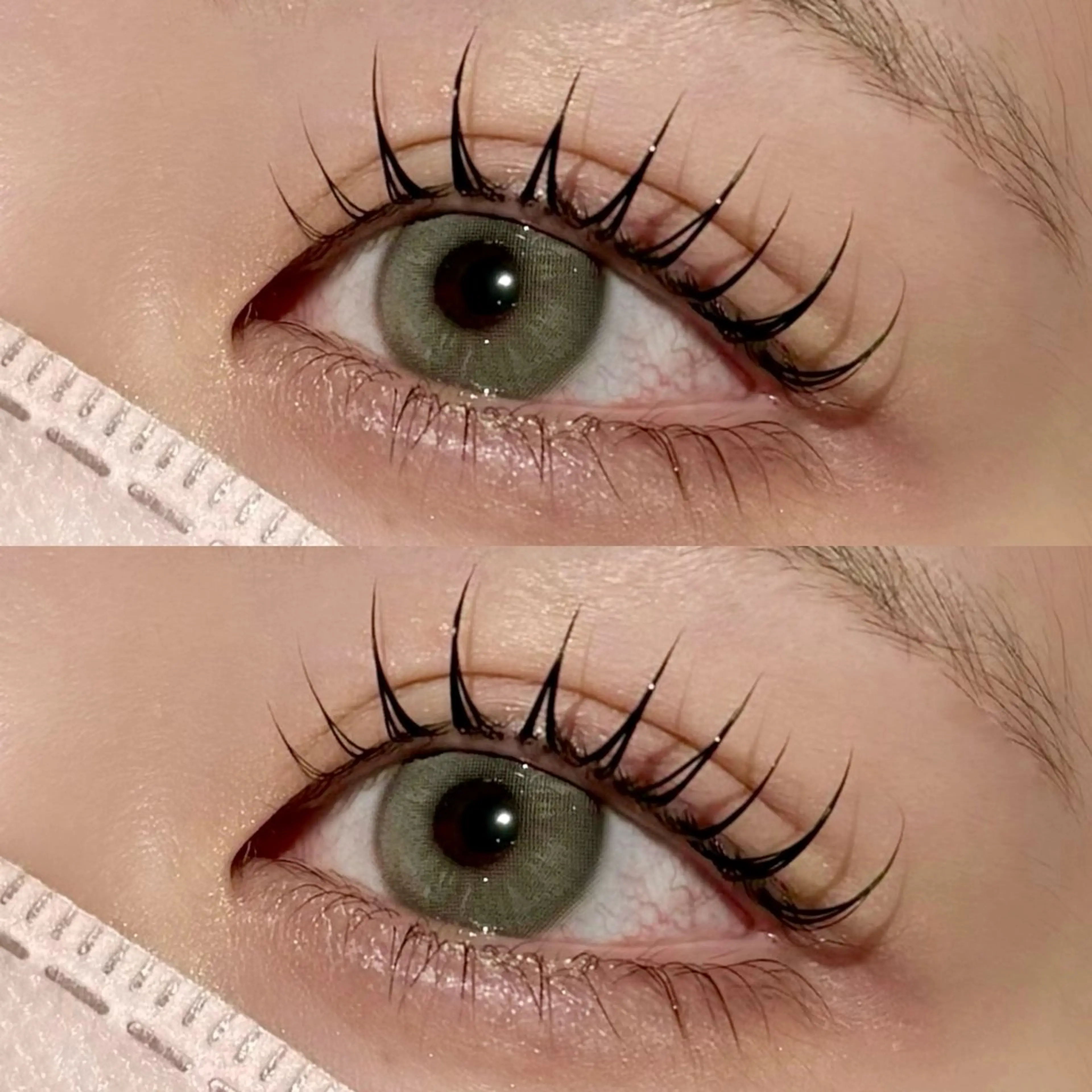 【セット割🎀⋆*】🫧韓ドル風束感ラッシュリフト(上)+ラッシュアディクト美容液🫧の写真