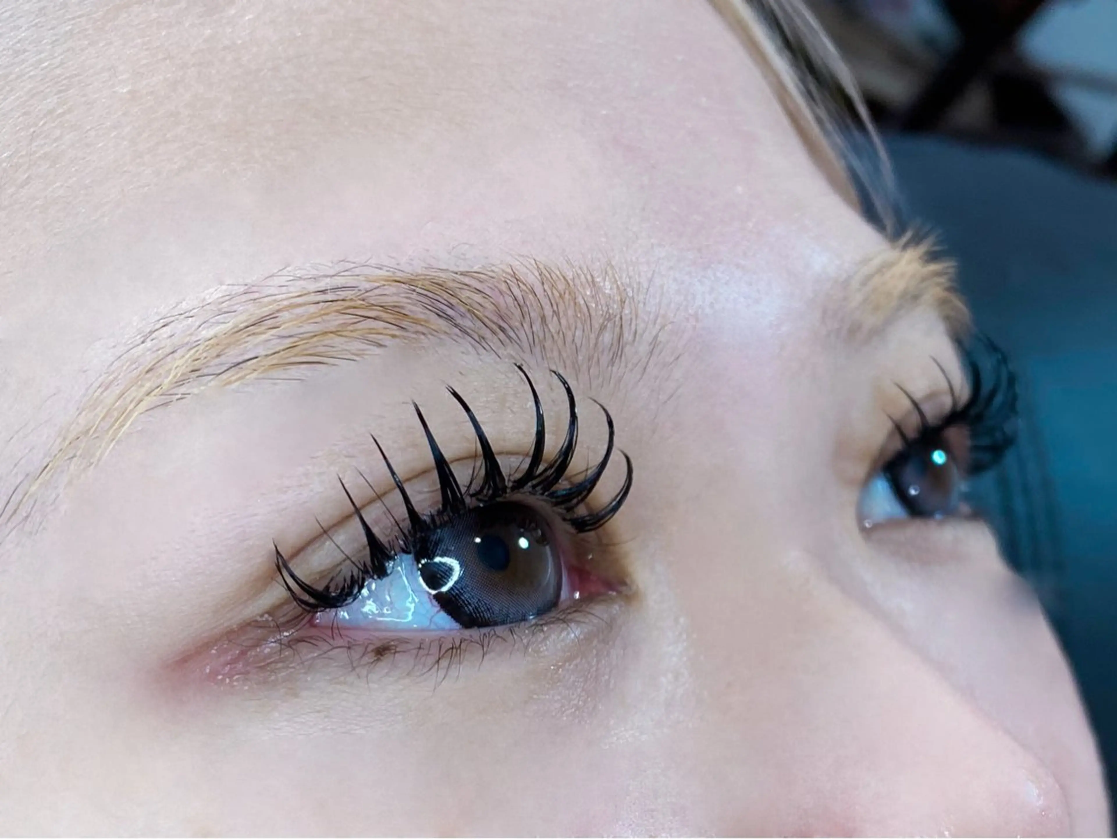 マツエク・マツパ バインドロック キュート Dカール Ciel miyuの眉毛・アイブロウイメージ