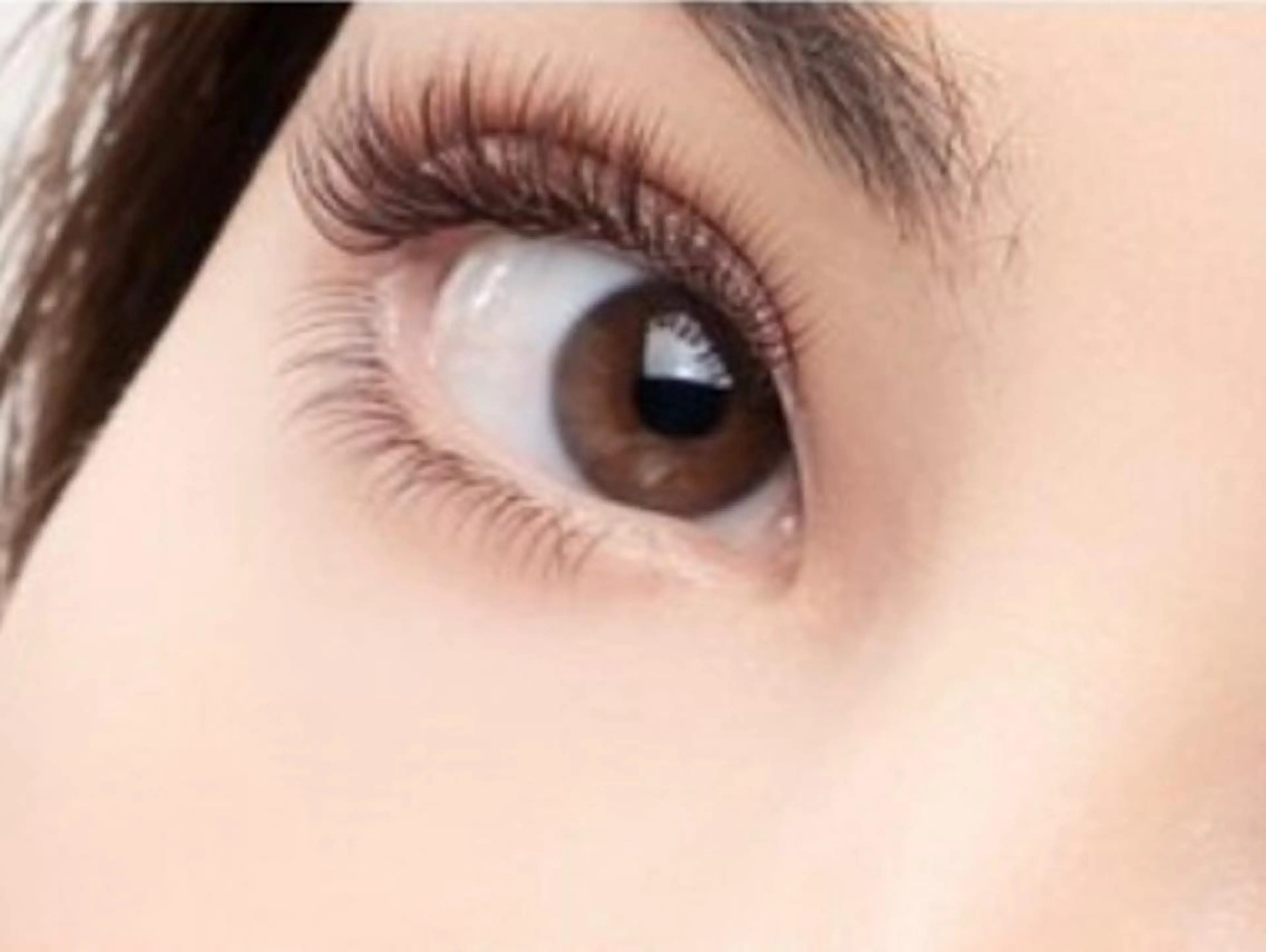 5Dボリュームラッシュ  300本まで（オフ無し）の写真