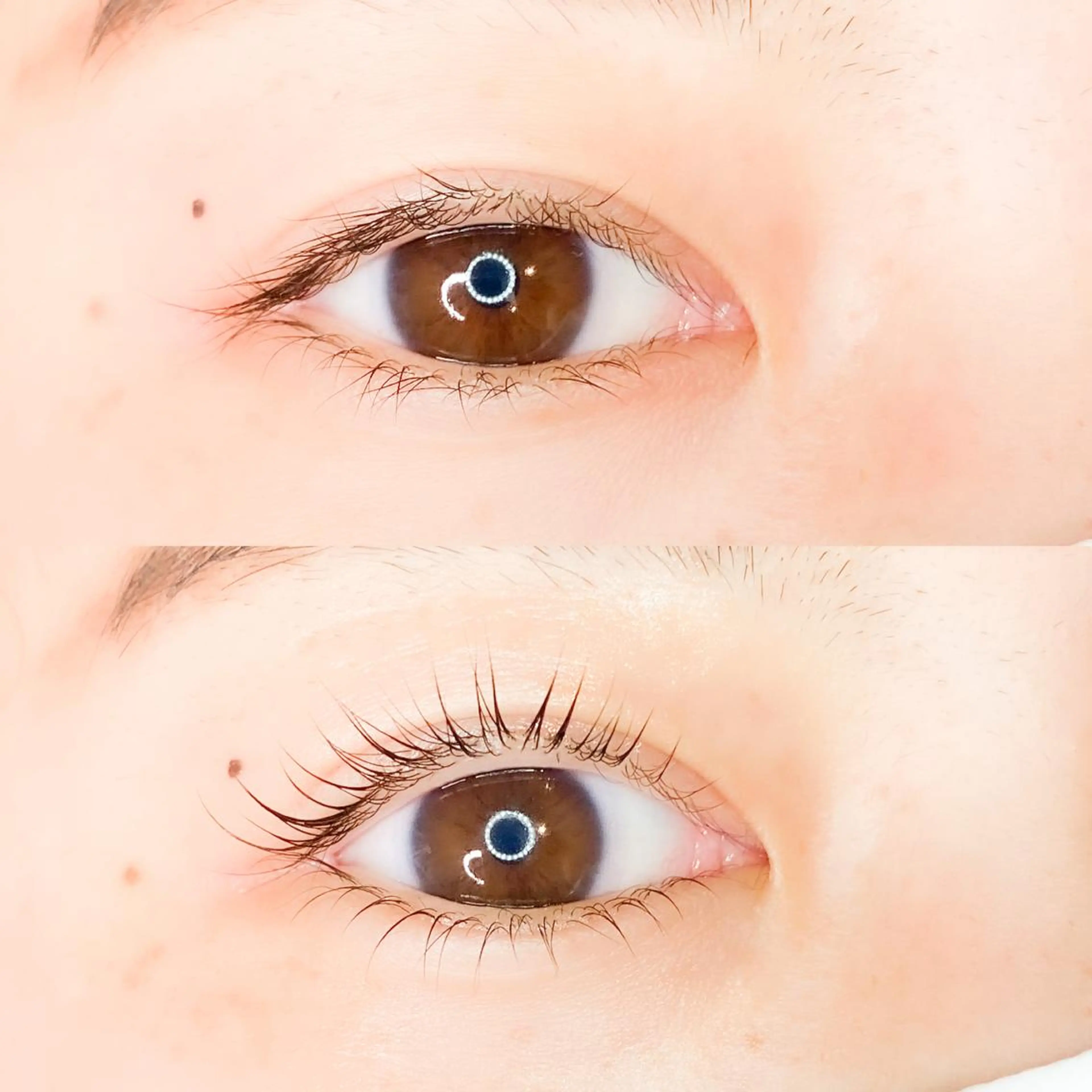 マツエク・マツパ Amber eyes 矢野みずきのマツエク・マツパデザイン