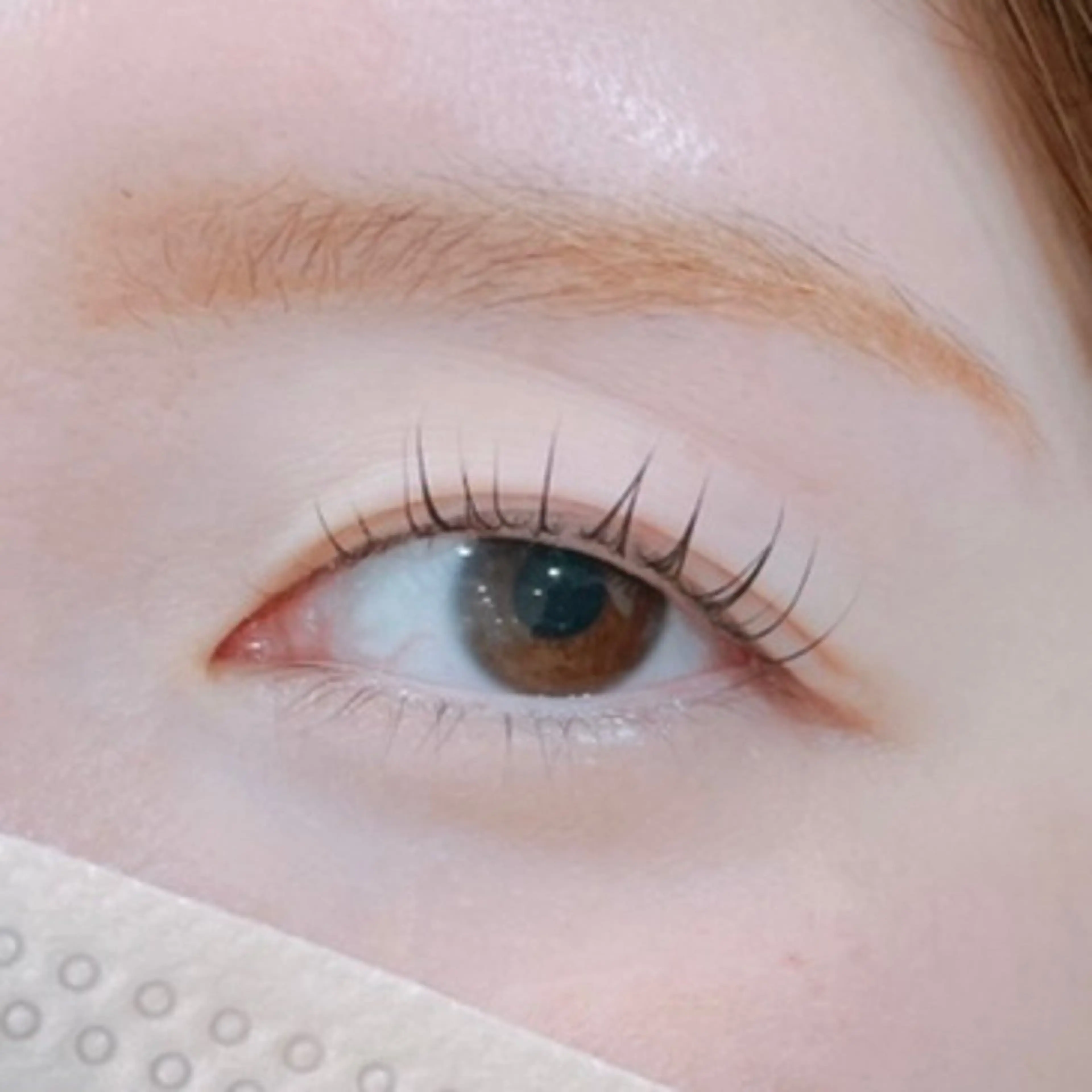 マツエク・マツパ パリジェンヌラッシュリフト アイニコ天神店 徳島のマツエク・マツパデザイン