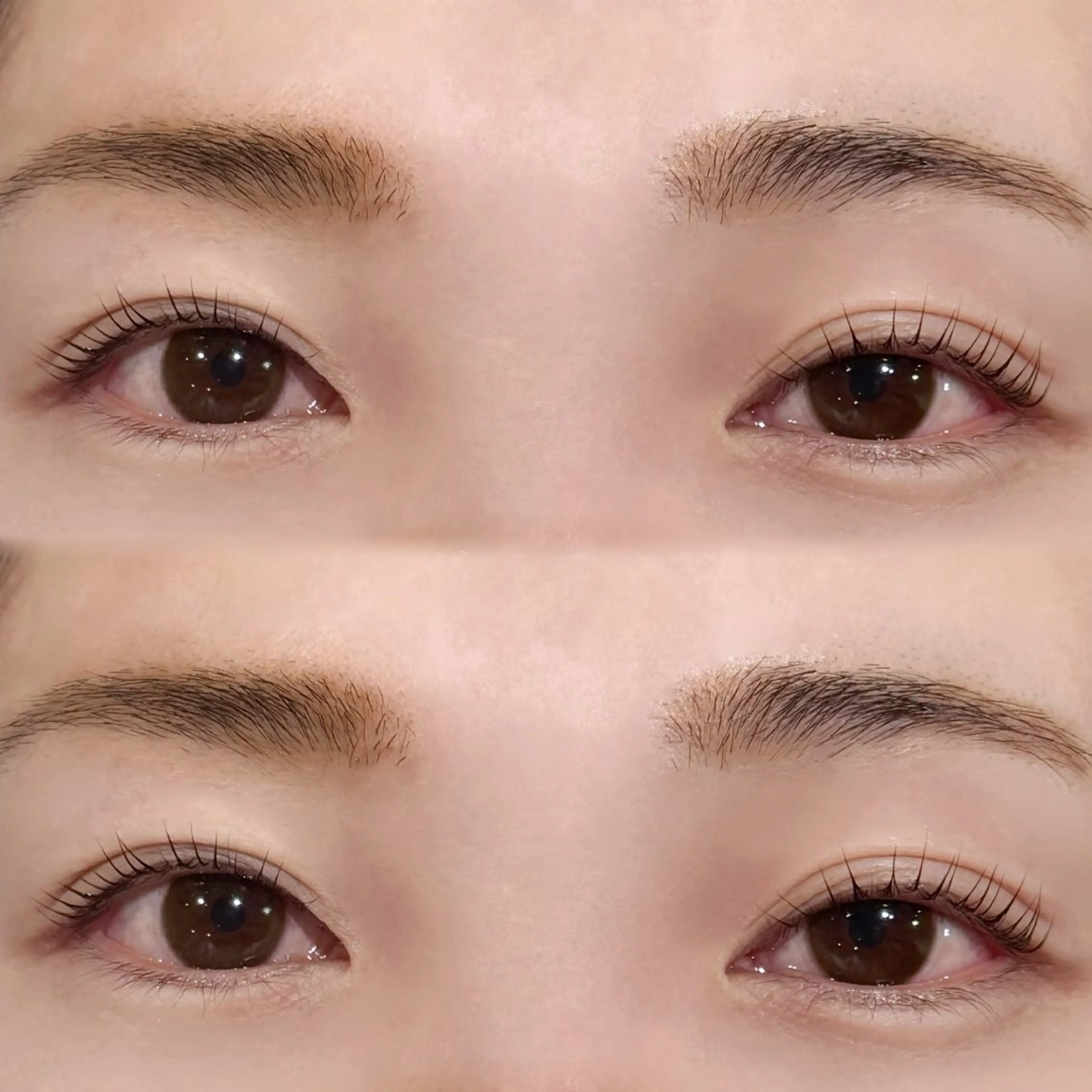 マツエク・マツパ パリジェンヌラッシュリフト Q-LASH Ricoの眉毛・アイブロウイメージ