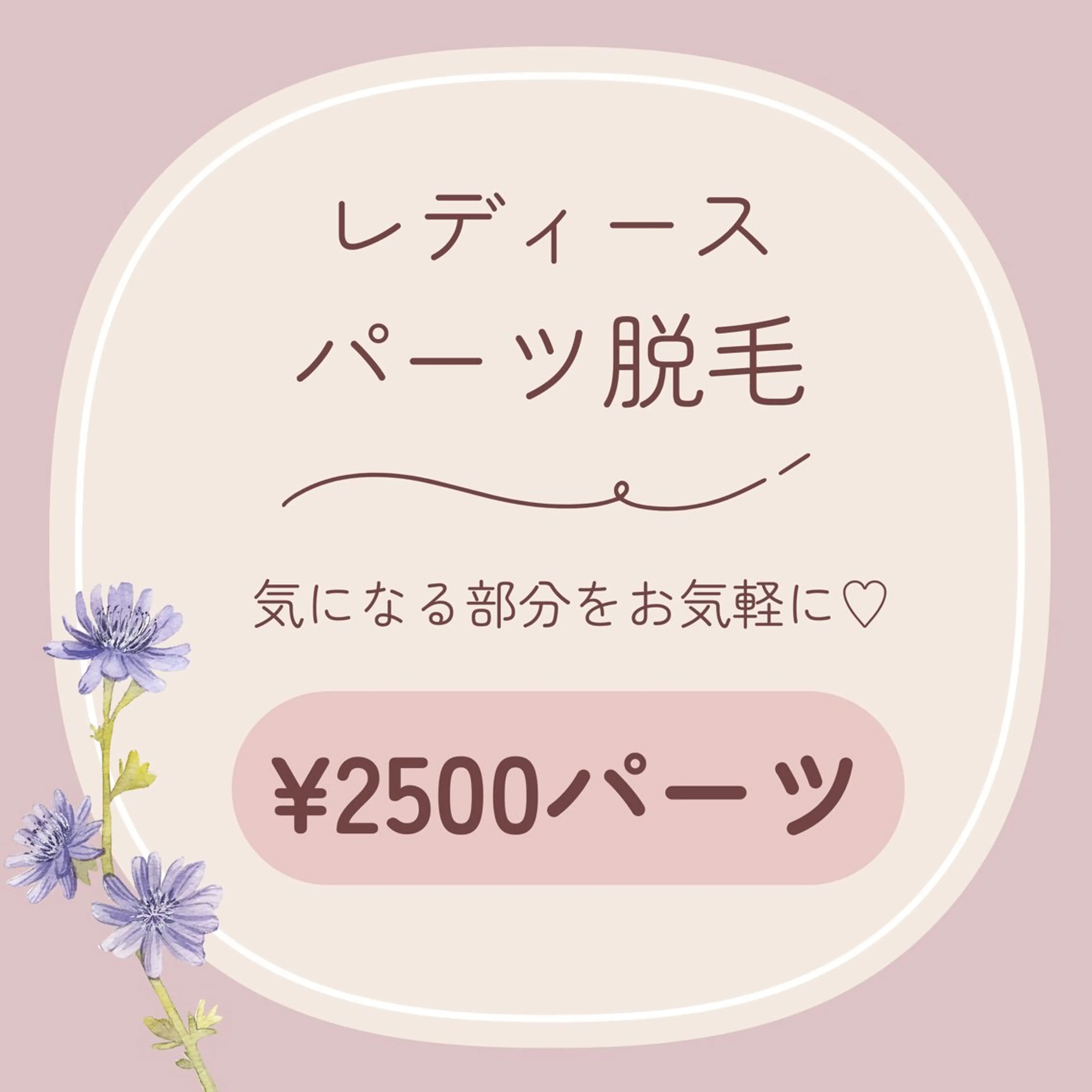 レディース┊ パーツ脱毛┊ 各¥2500パーツの写真