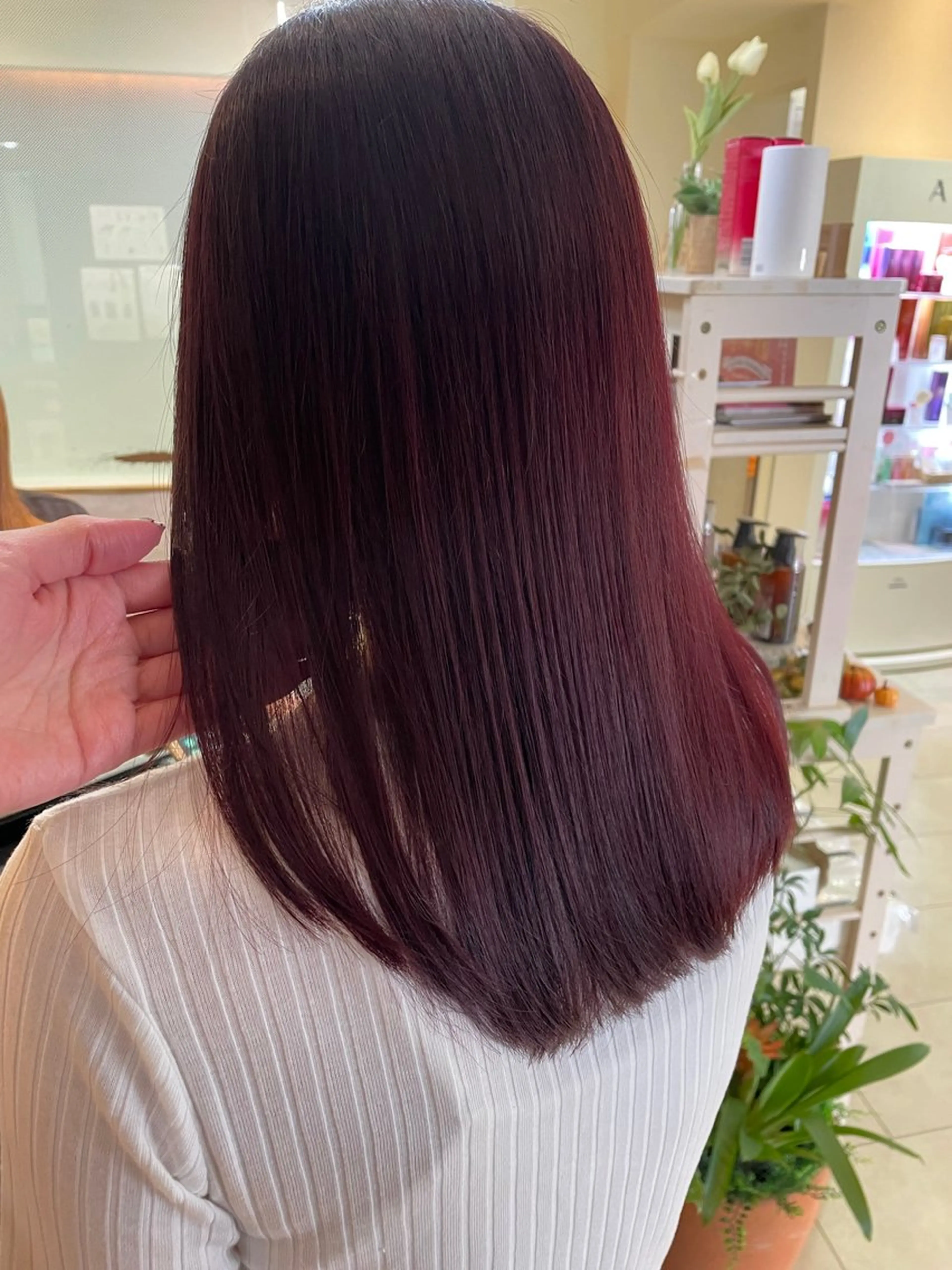 【ご新規様】カット + エドルカラー + トリートメントの写真