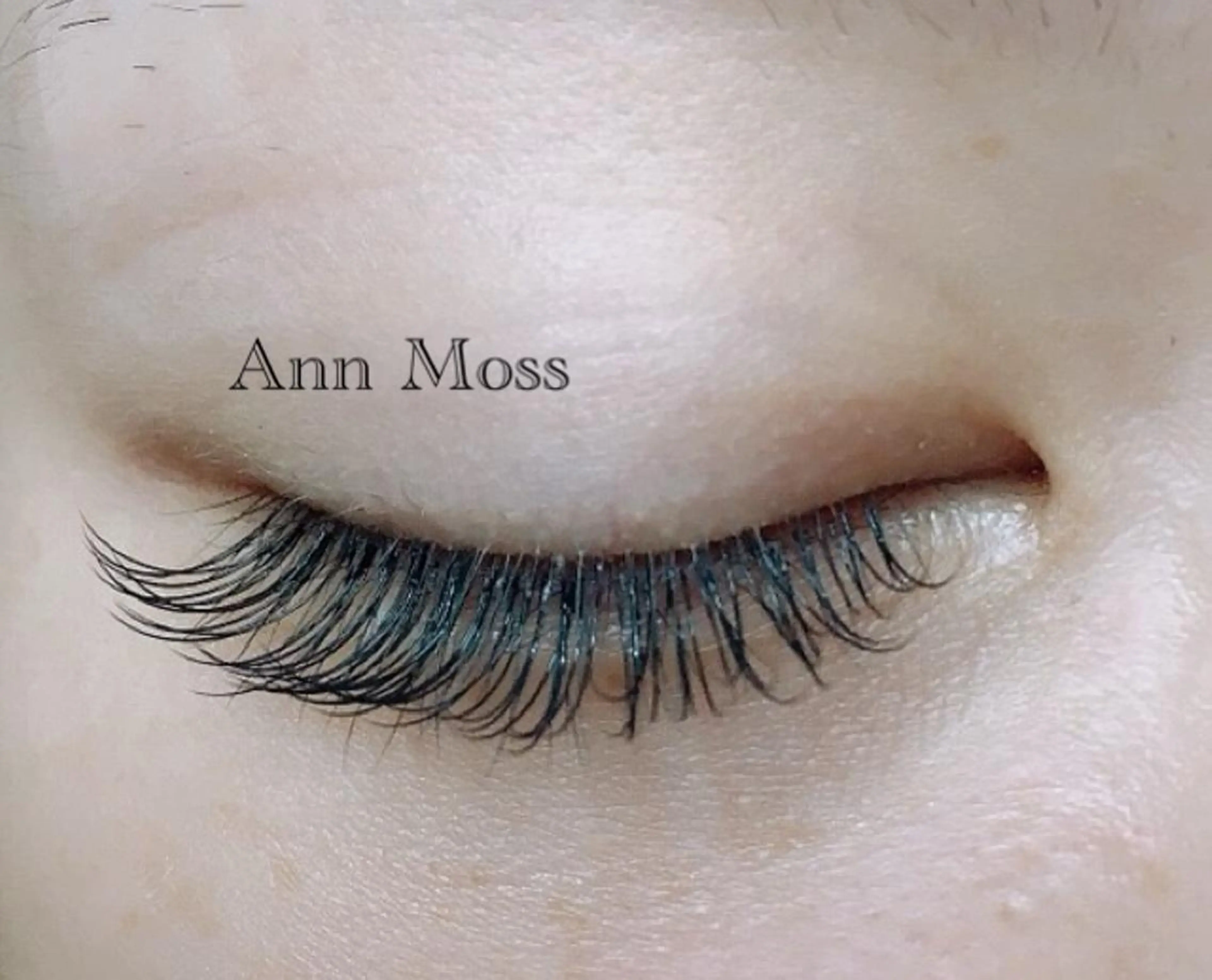 マツエク・マツパ 無料モデル募集中 Ann Mossのマツエク・マツパデザイン
