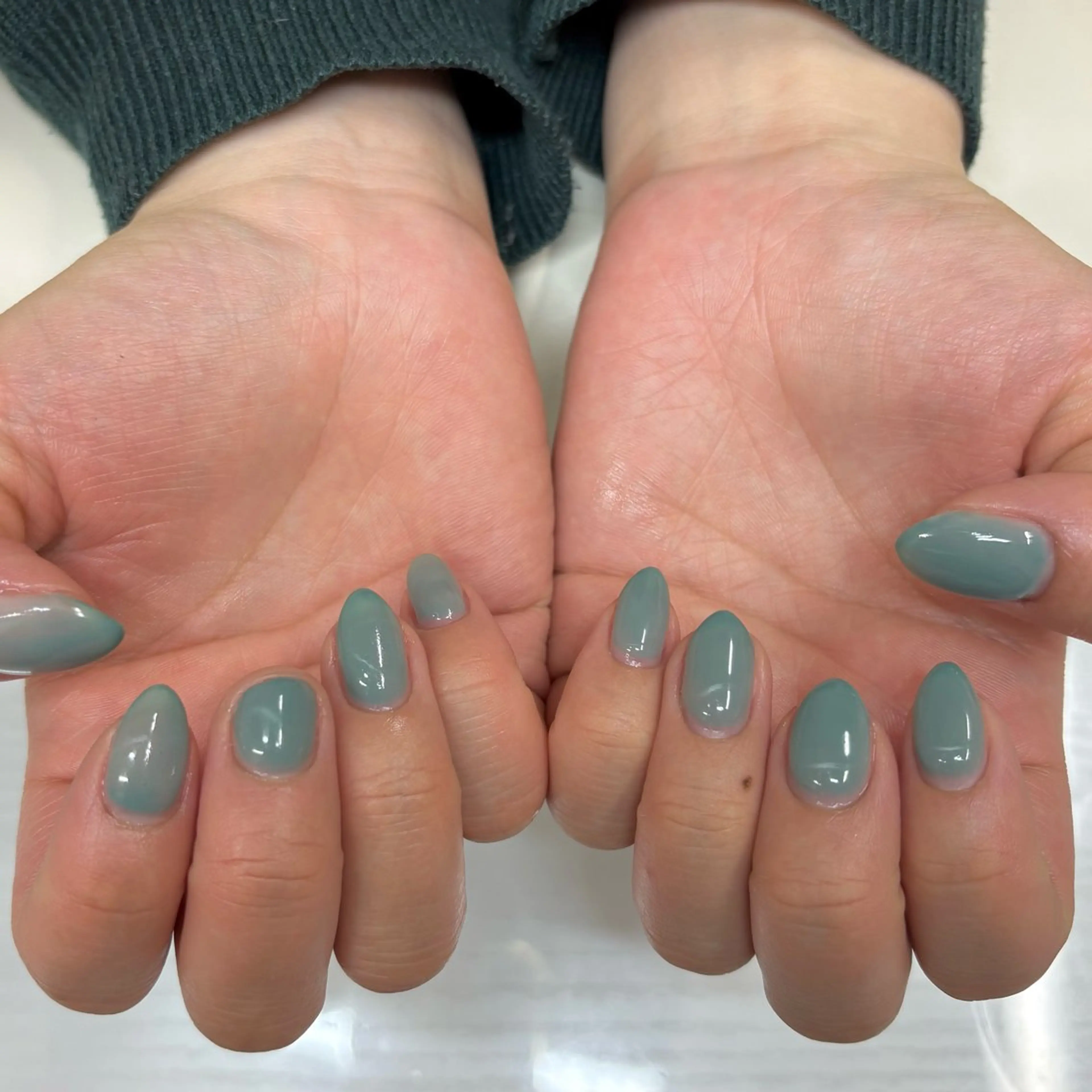 ネイル ワンカラーネイル SHILON karinのネイルデザイン