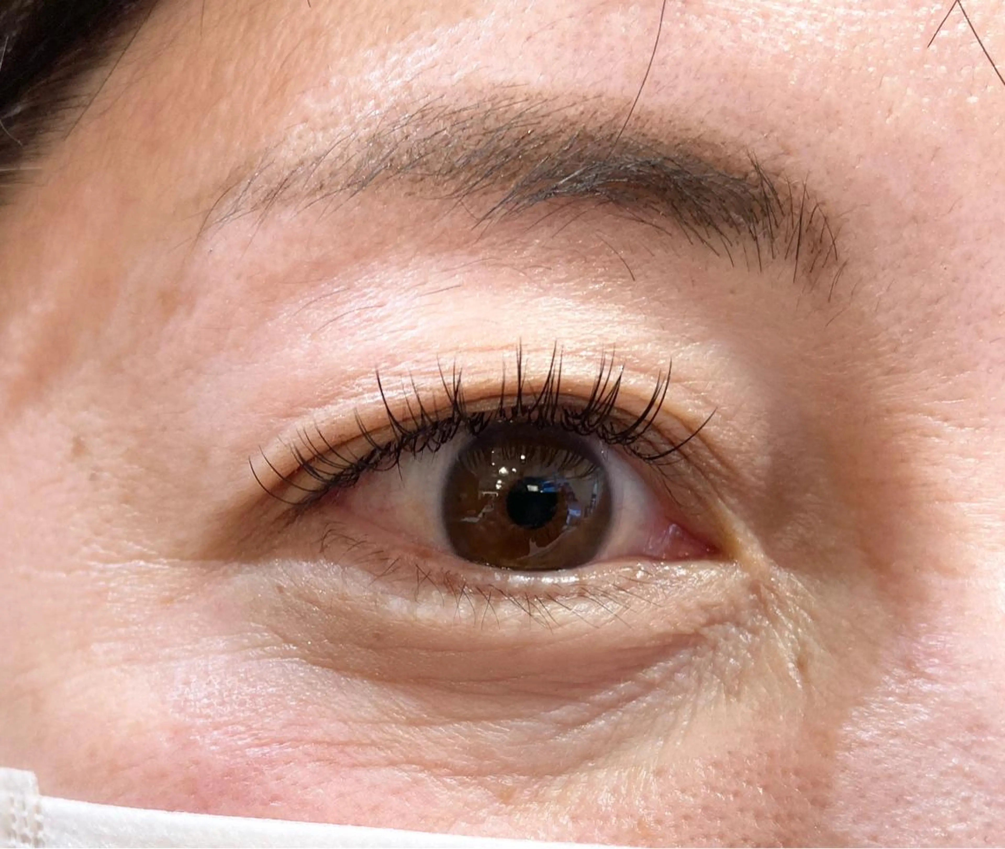 マツエク・マツパ Cカール セーブル sola: neolive出沼のマツエク・マツパデザイン